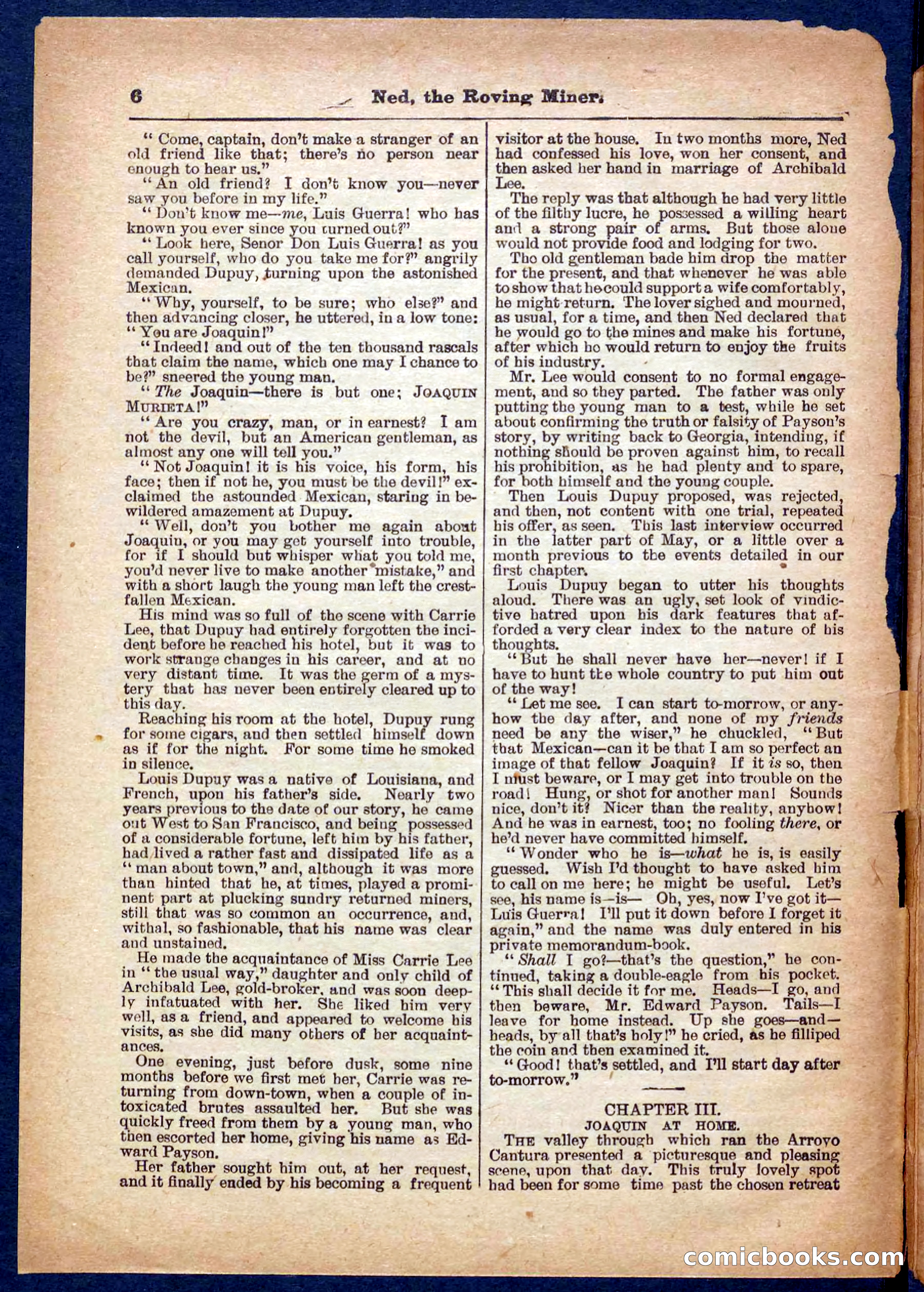 Beadle's Pocket Library No. 327 — page 6 of 32