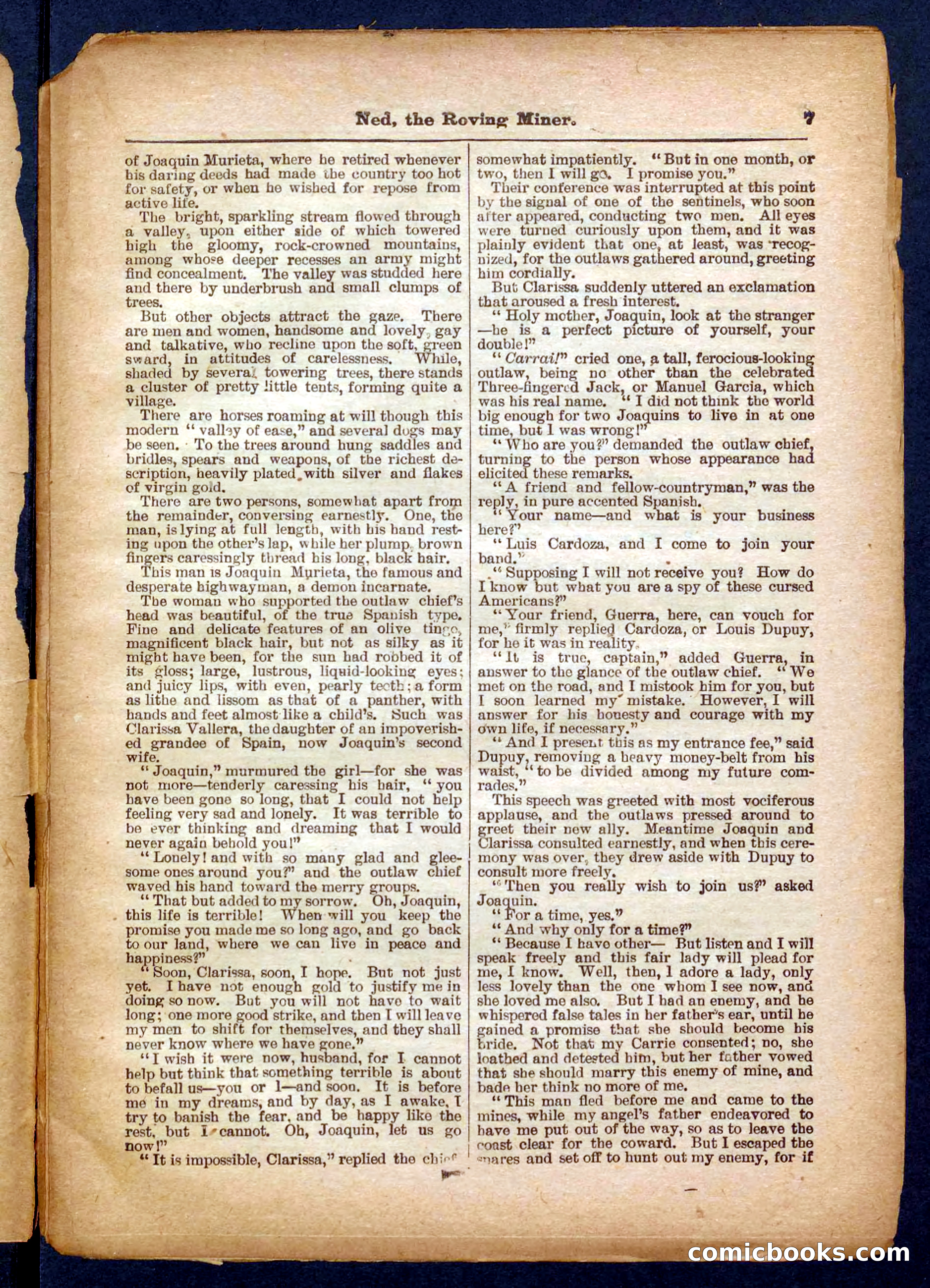 Beadle's Pocket Library No. 327 — page 7 of 32