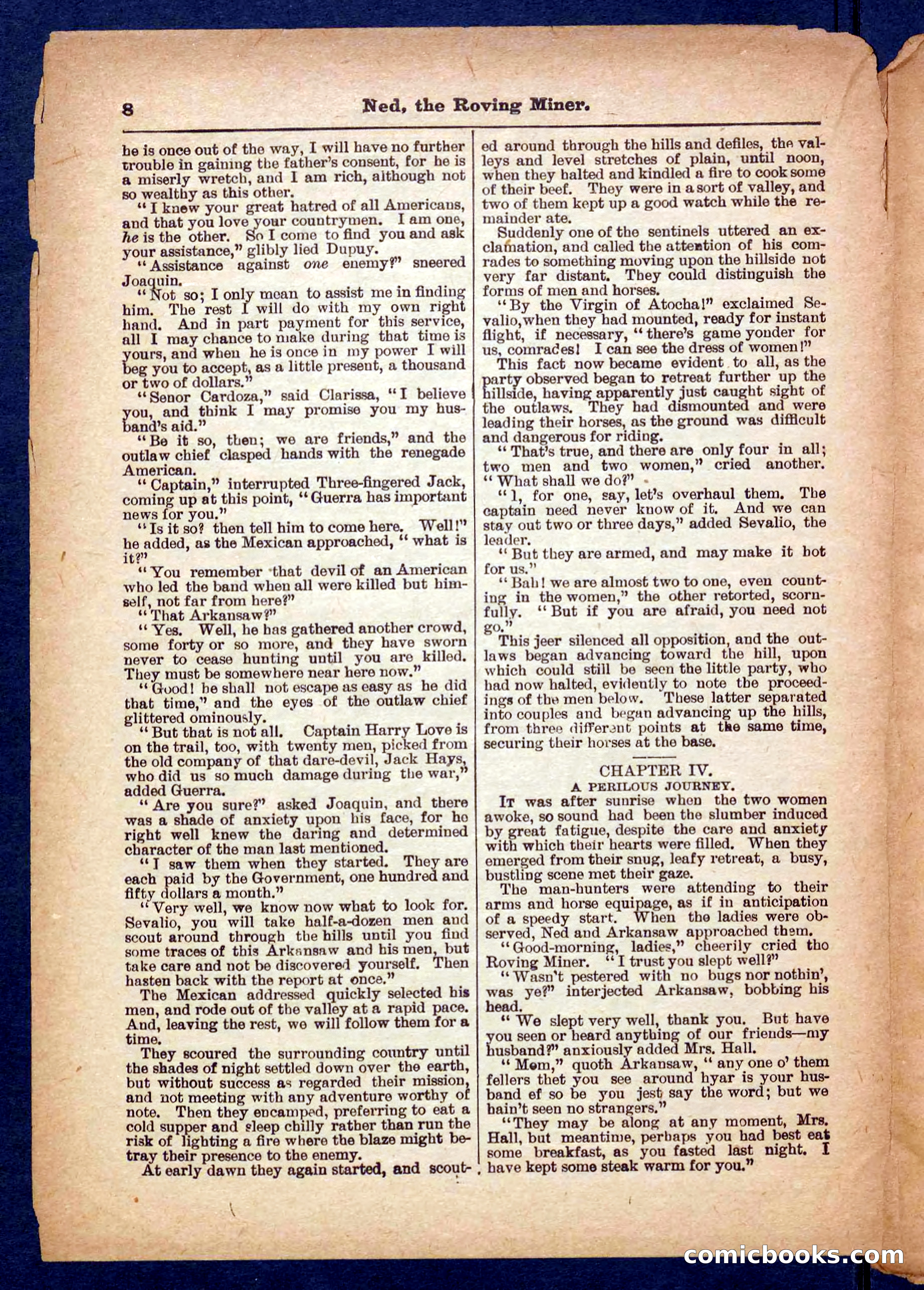Beadle's Pocket Library No. 327 — page 8 of 32
