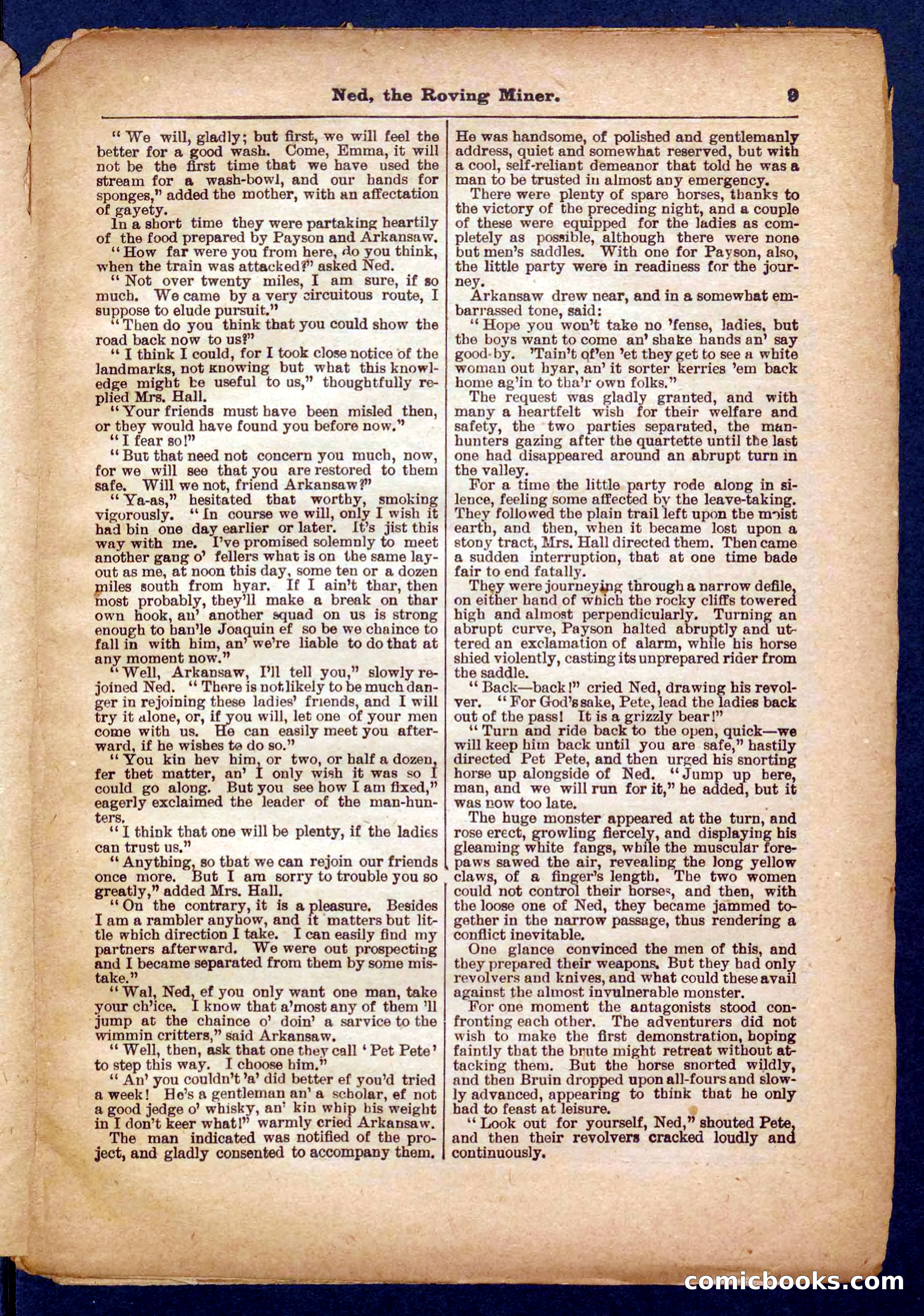 Beadle's Pocket Library No. 327 — page 9 of 32