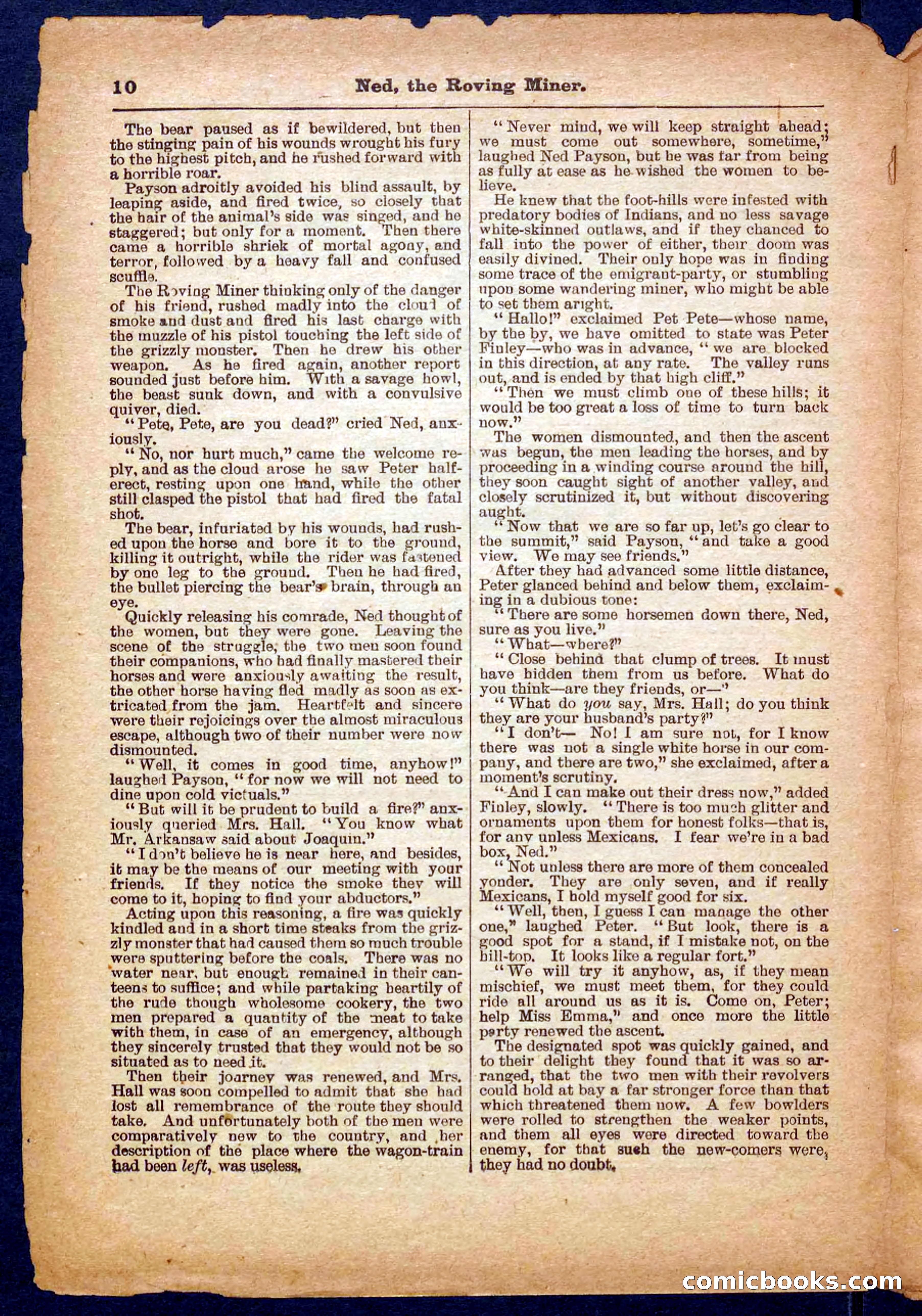 Beadle's Pocket Library No. 327 — page 10 of 32