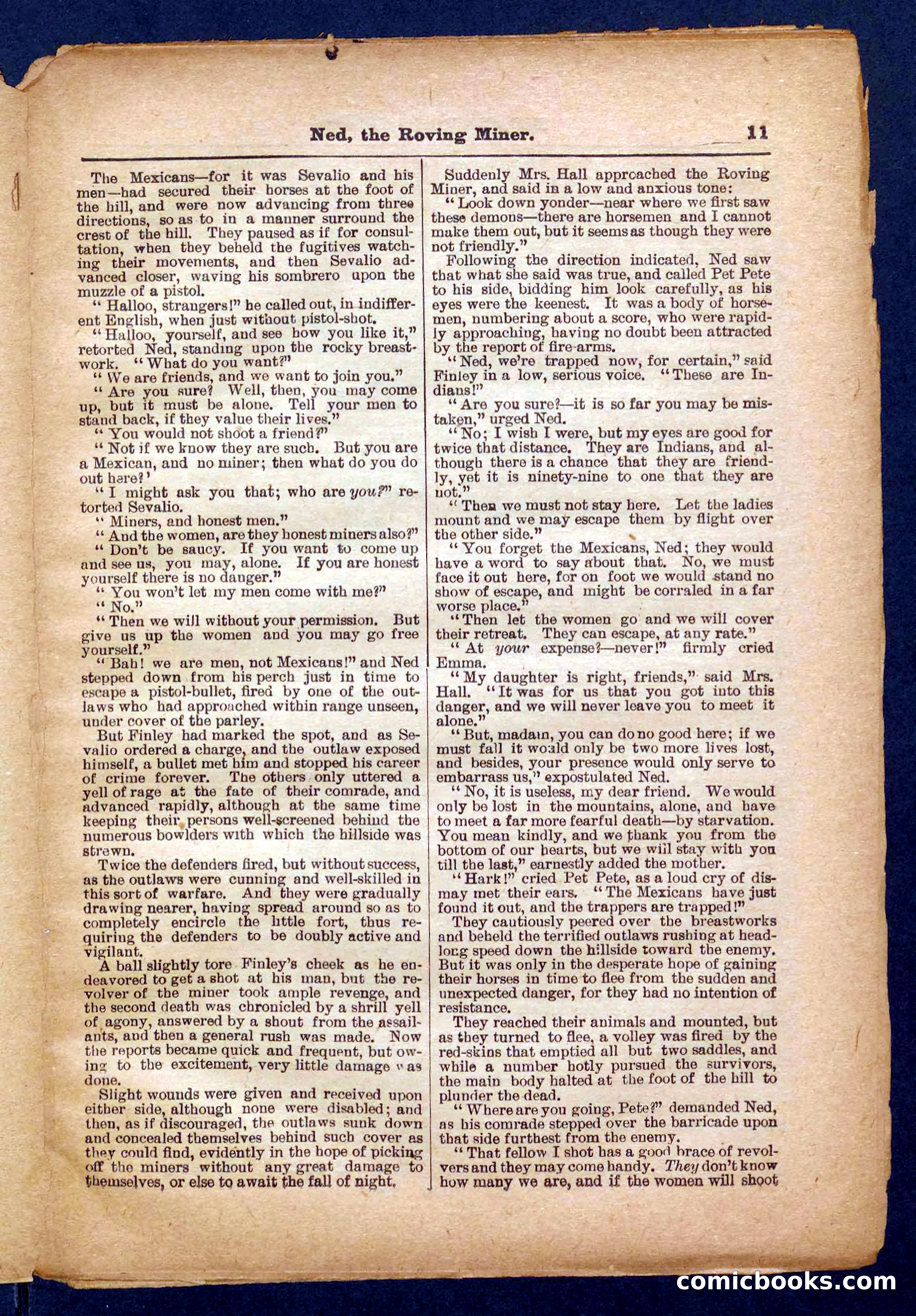 Beadle's Pocket Library No. 327 — page 11 of 32