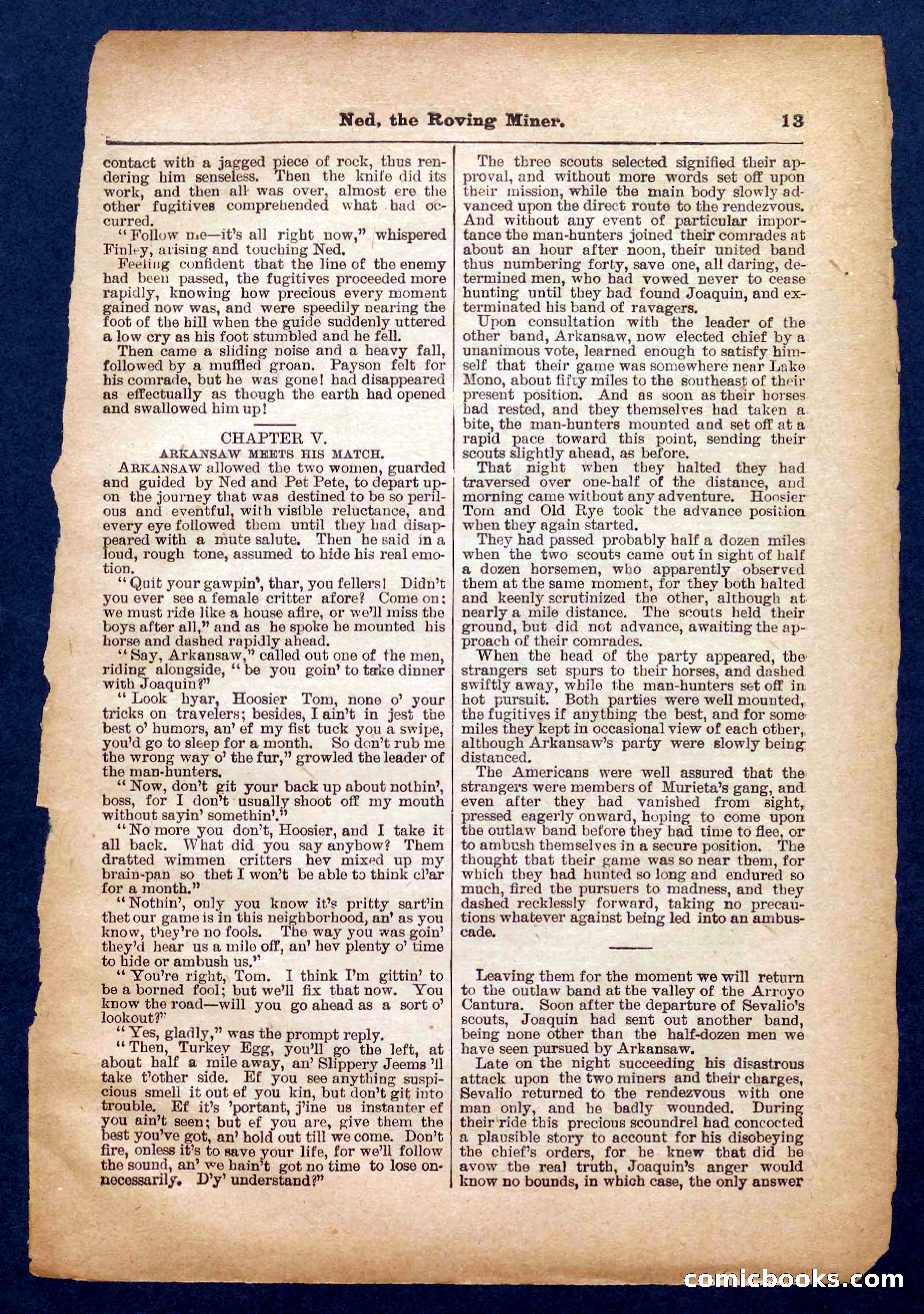 Beadle's Pocket Library No. 327 — page 13 of 32