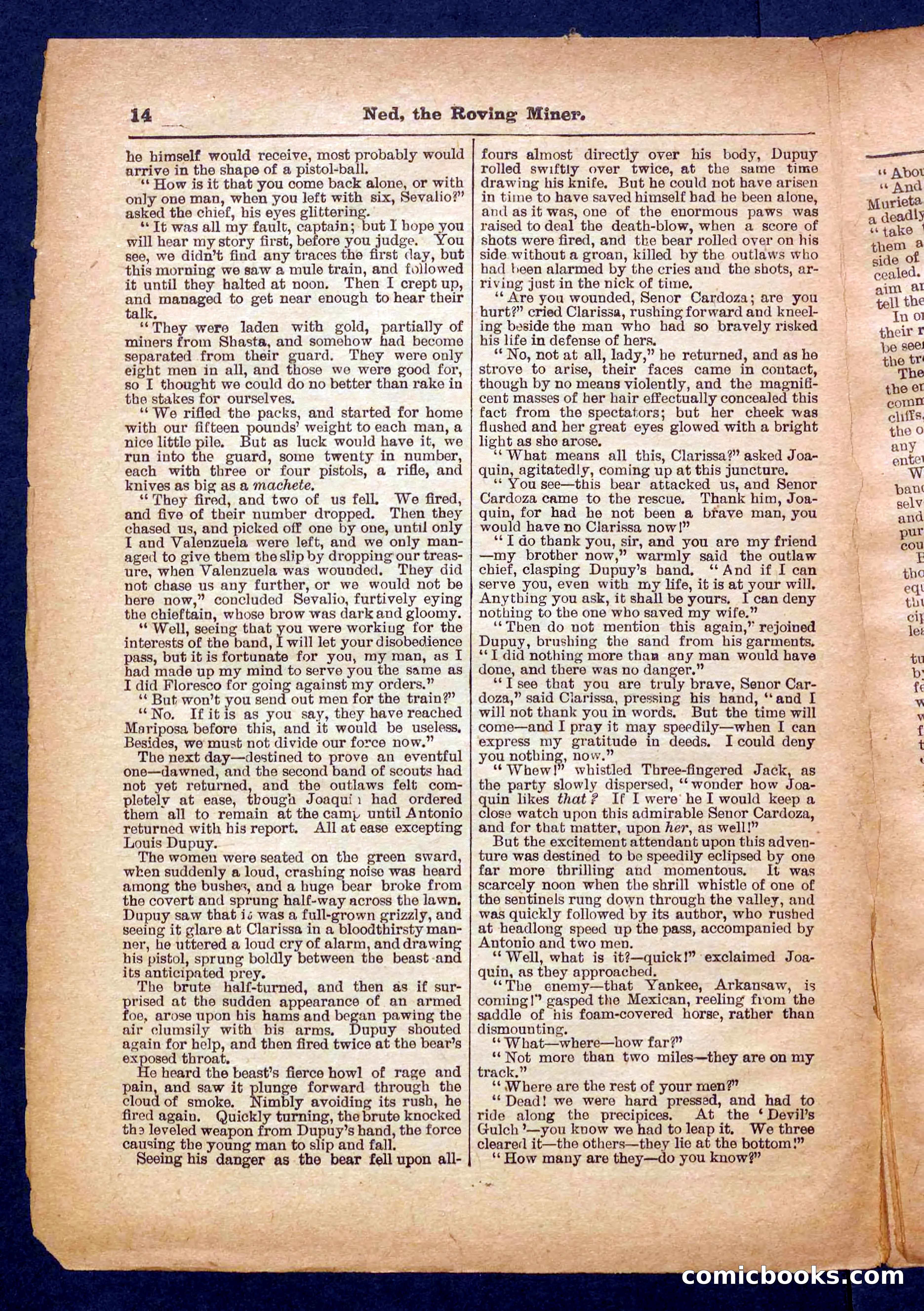 Beadle's Pocket Library No. 327 — page 14 of 32
