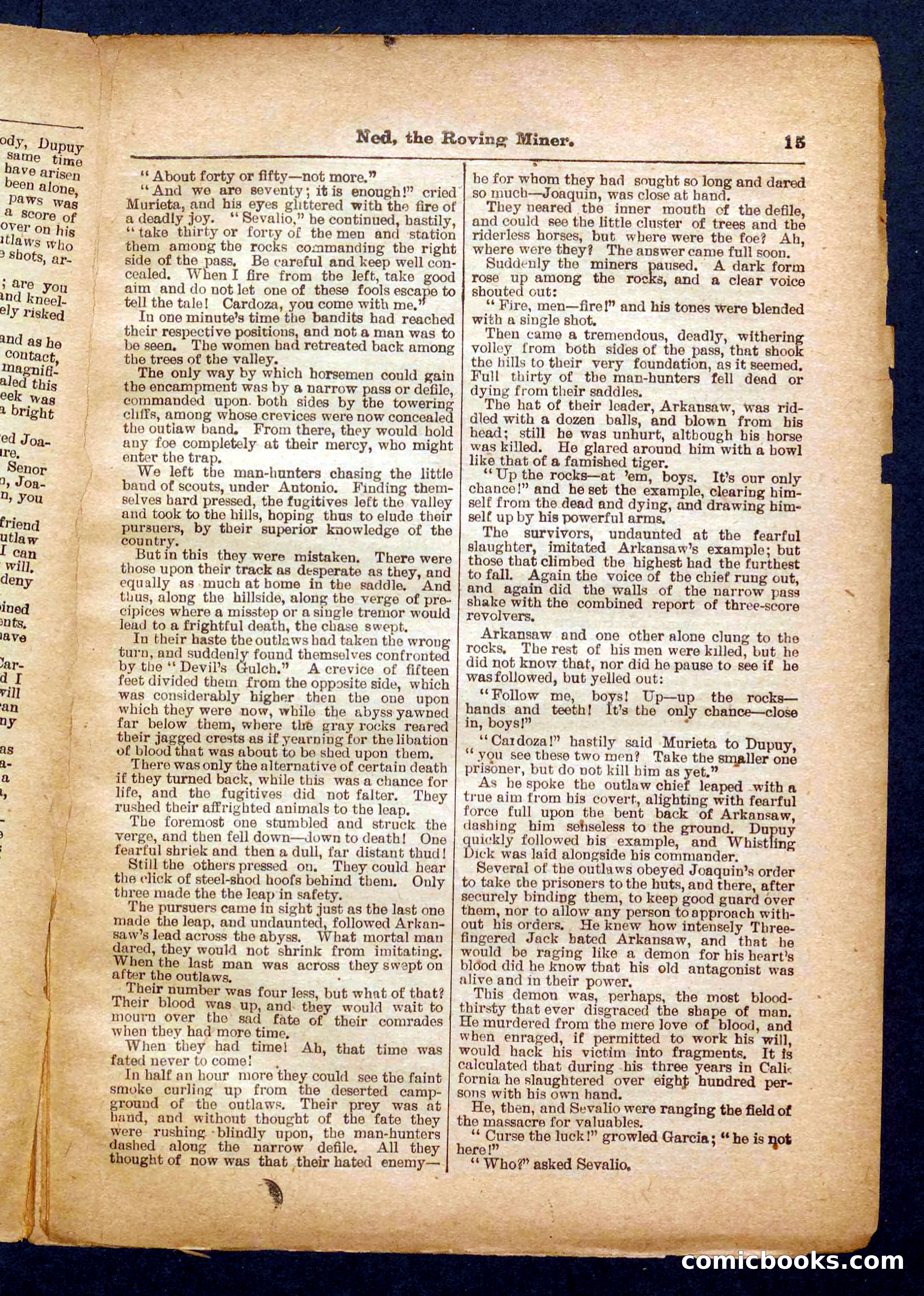 Beadle's Pocket Library No. 327 — page 15 of 32