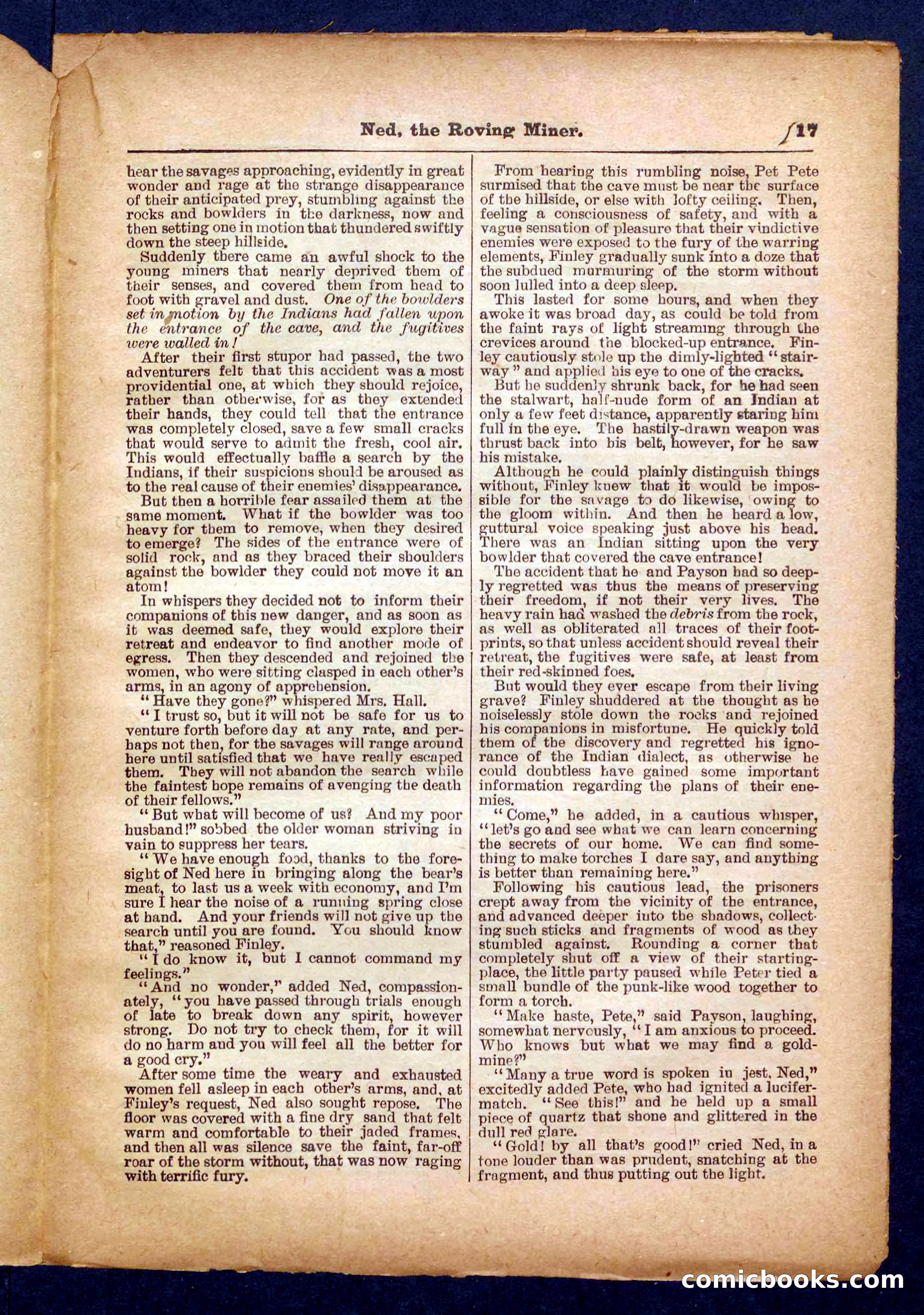 Beadle's Pocket Library No. 327 — page 17 of 32