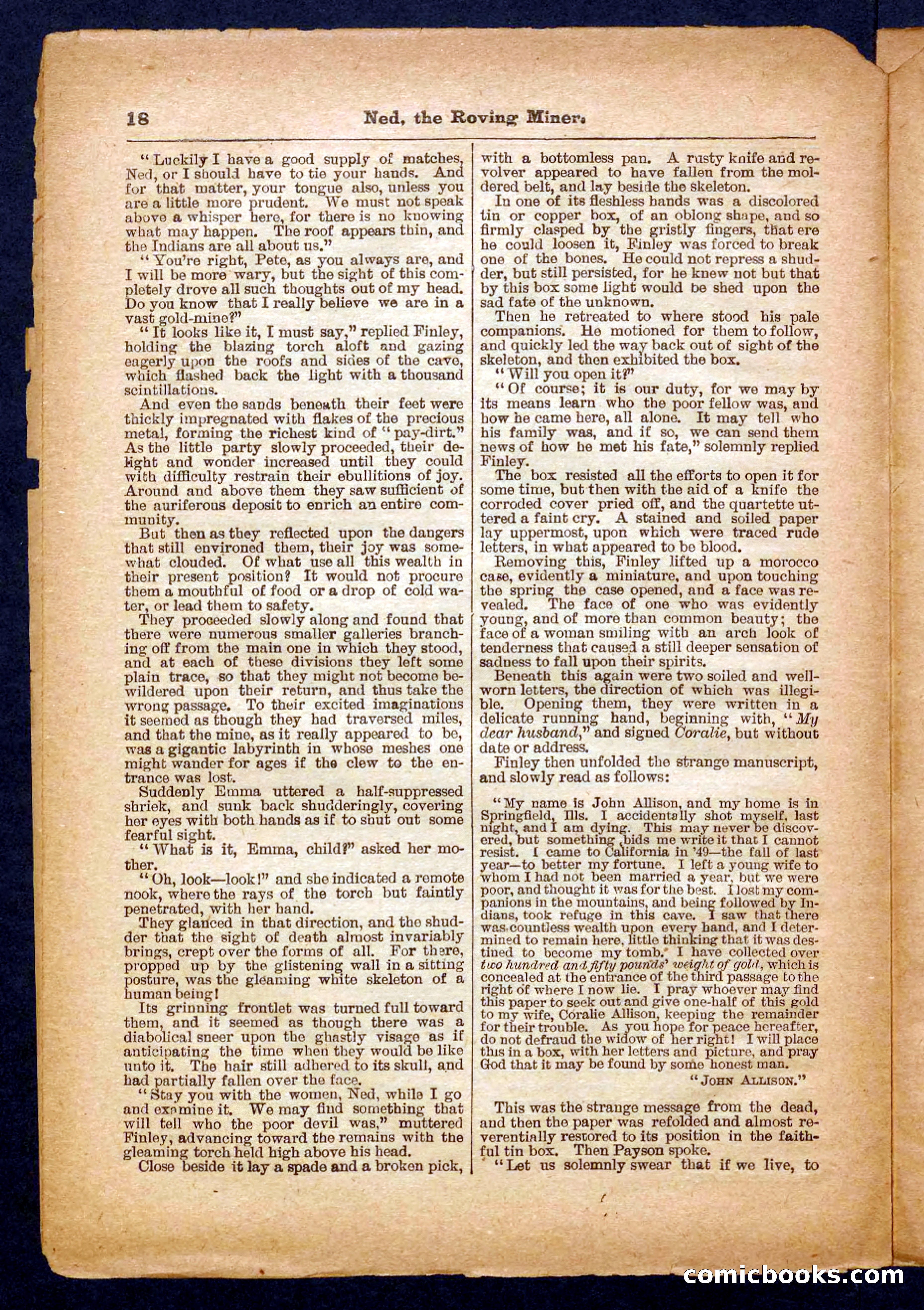Beadle's Pocket Library No. 327 — page 18 of 32