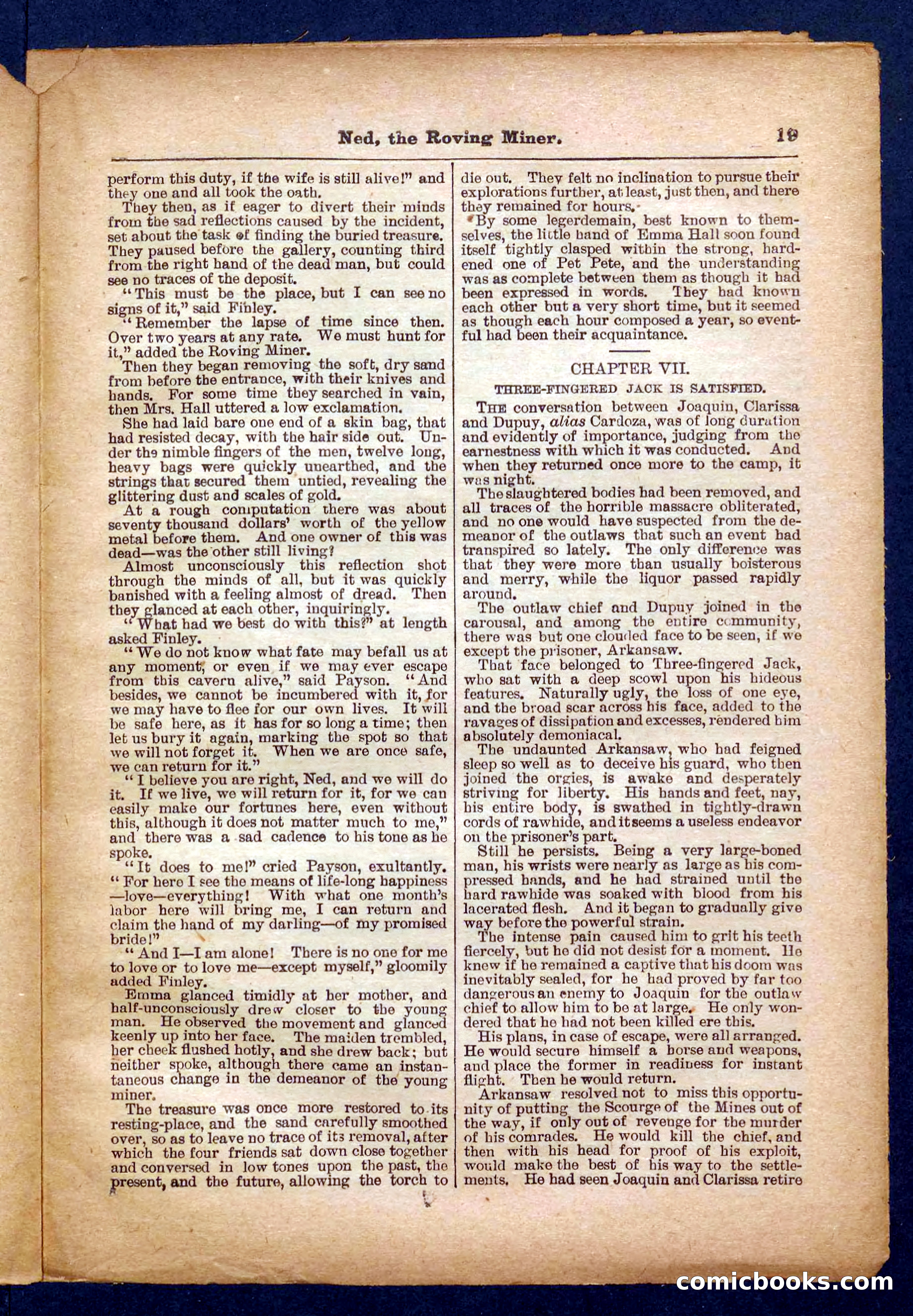 Beadle's Pocket Library No. 327 — page 19 of 32