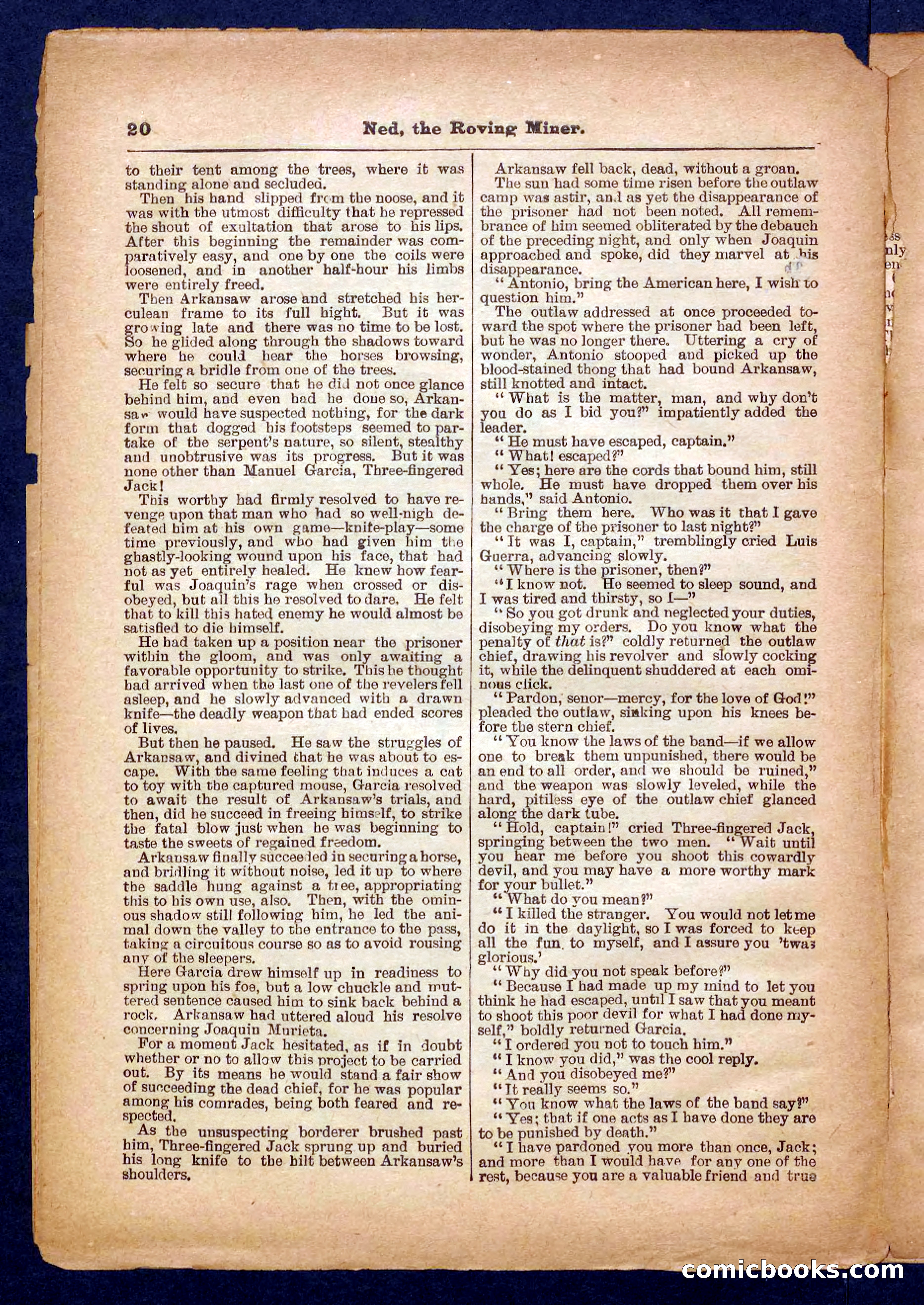 Beadle's Pocket Library No. 327 — page 20 of 32