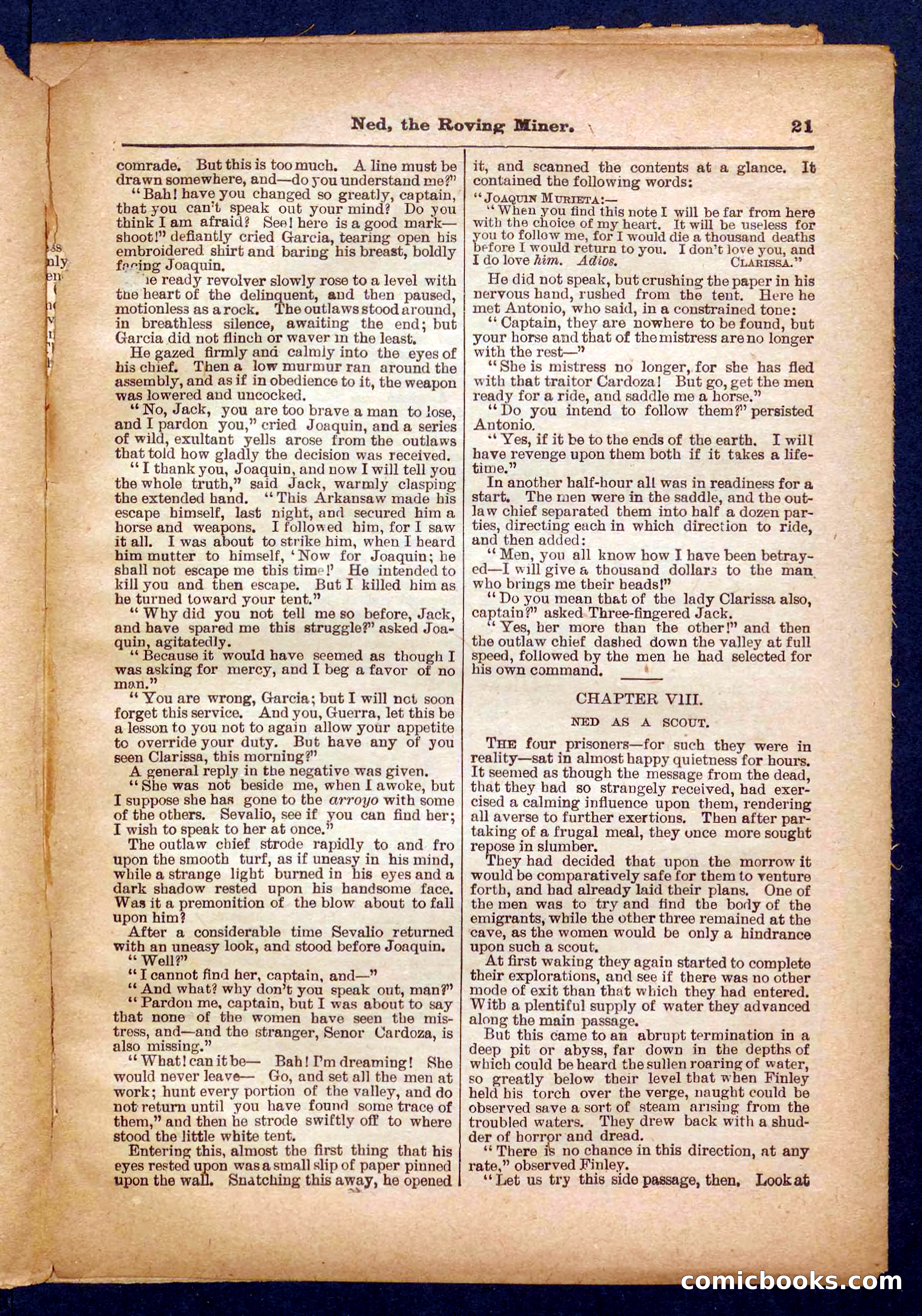 Beadle's Pocket Library No. 327 — page 21 of 32