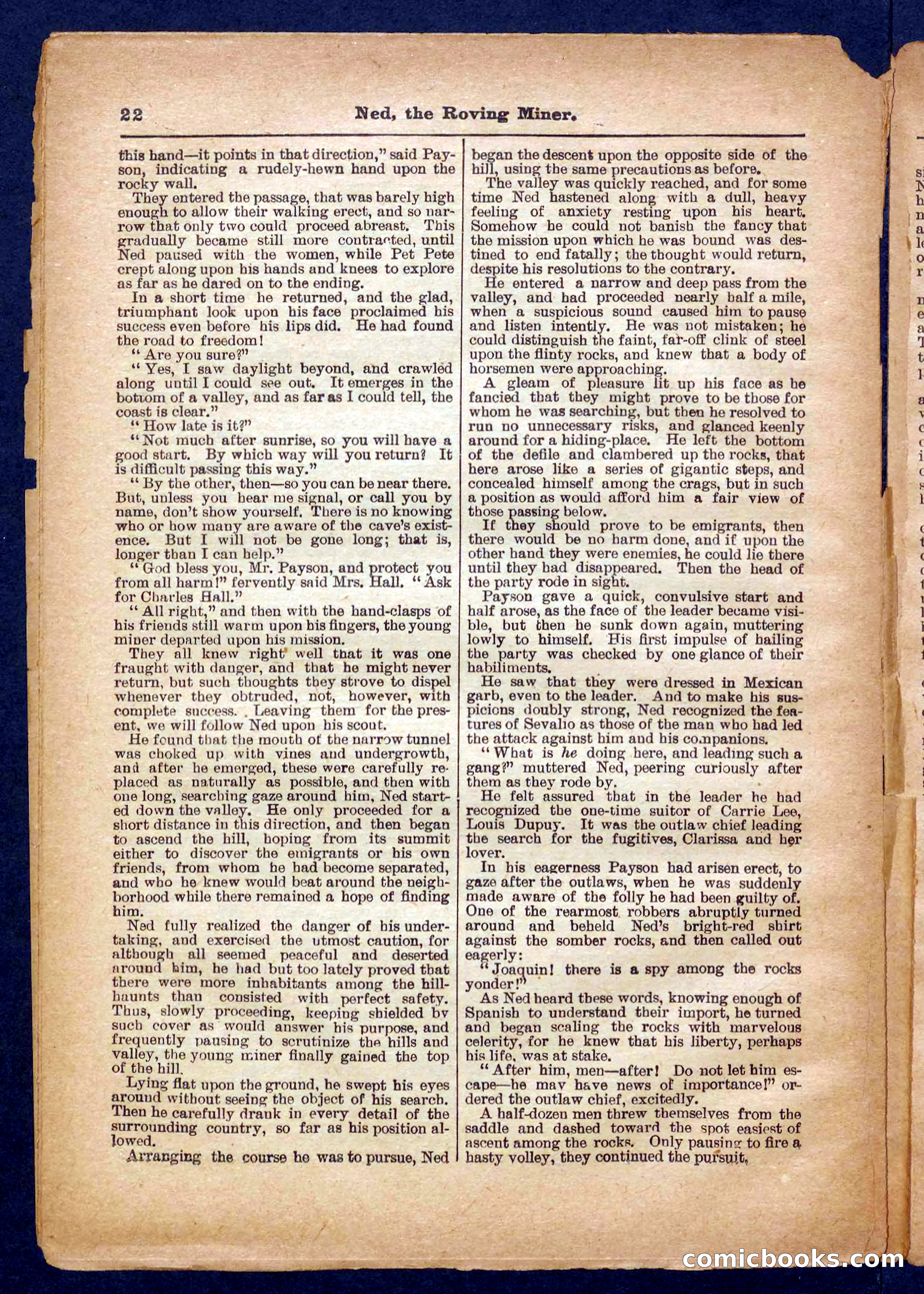 Beadle's Pocket Library No. 327 — page 22 of 32