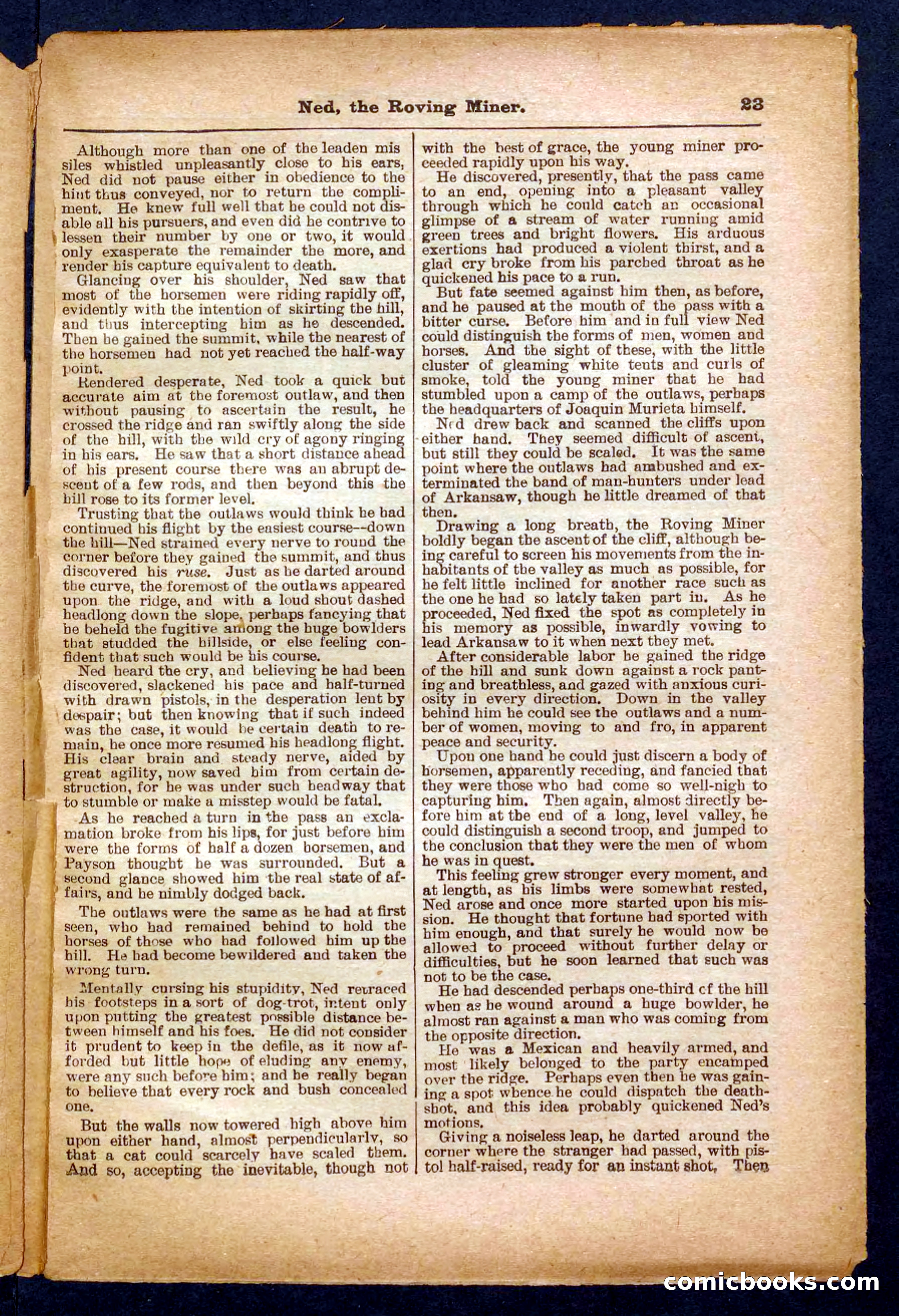 Beadle's Pocket Library No. 327 — page 23 of 32