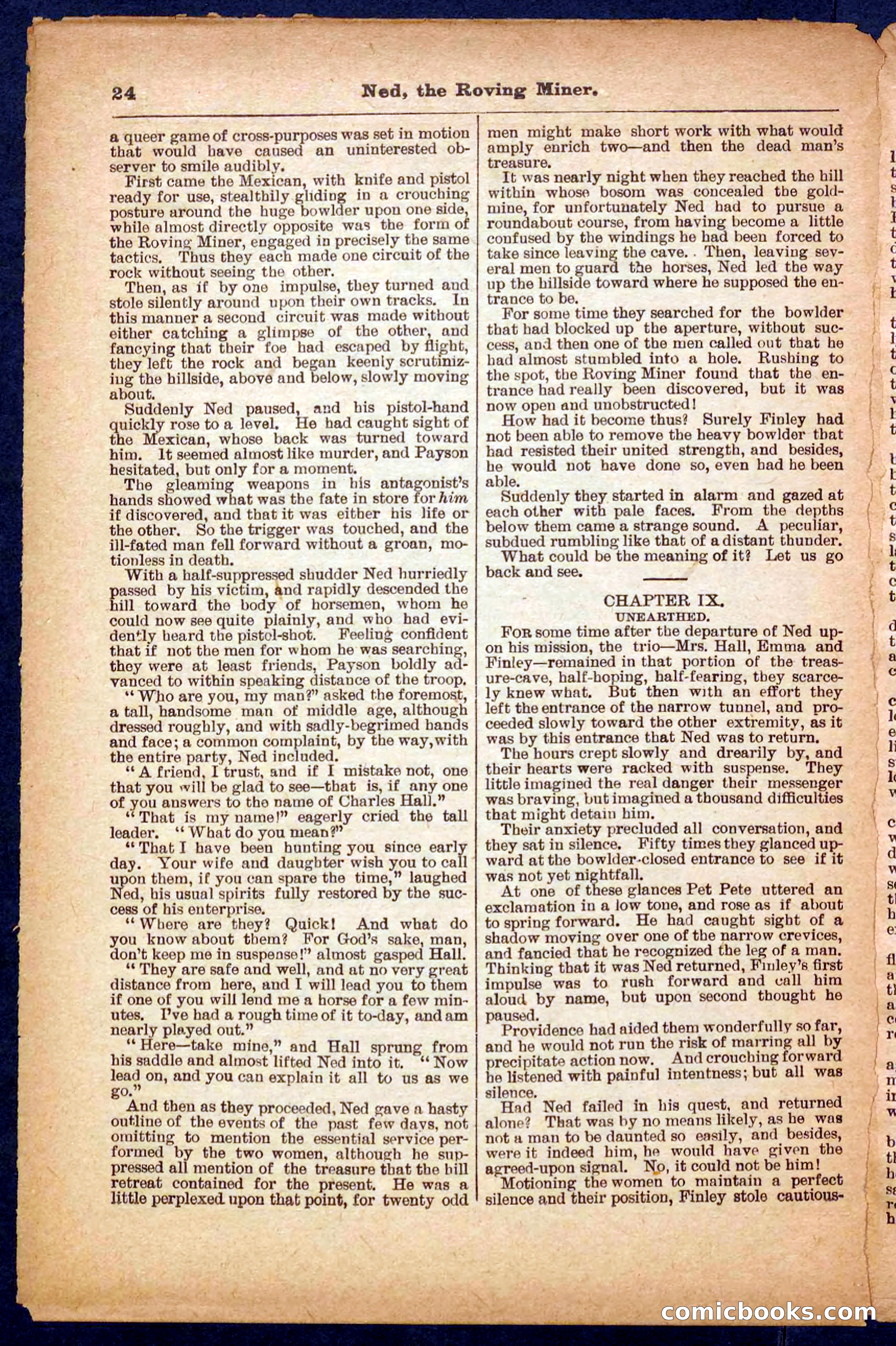 Beadle's Pocket Library No. 327 — page 24 of 32