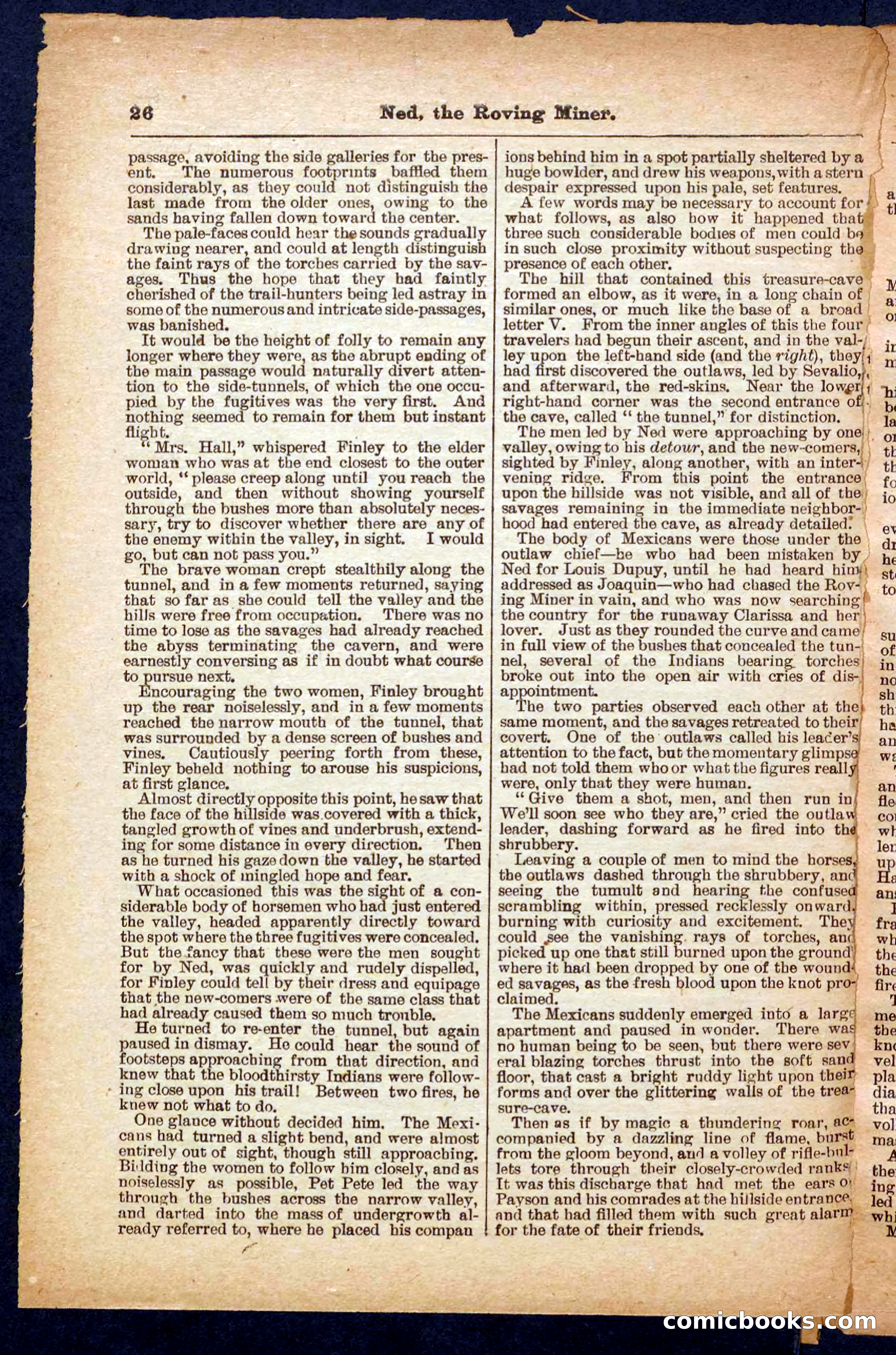 Beadle's Pocket Library No. 327 — page 26 of 32