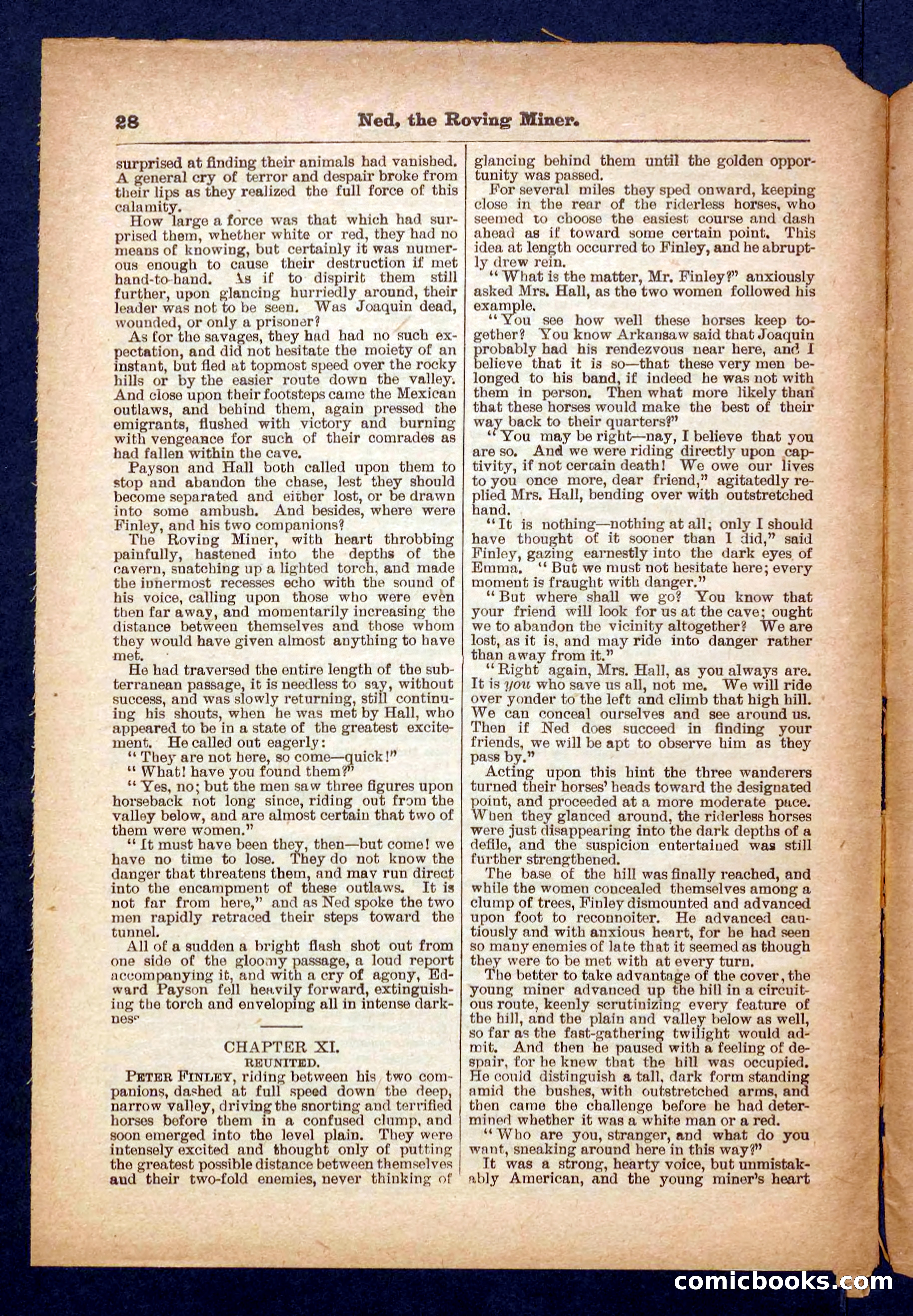 Beadle's Pocket Library No. 327 — page 28 of 32