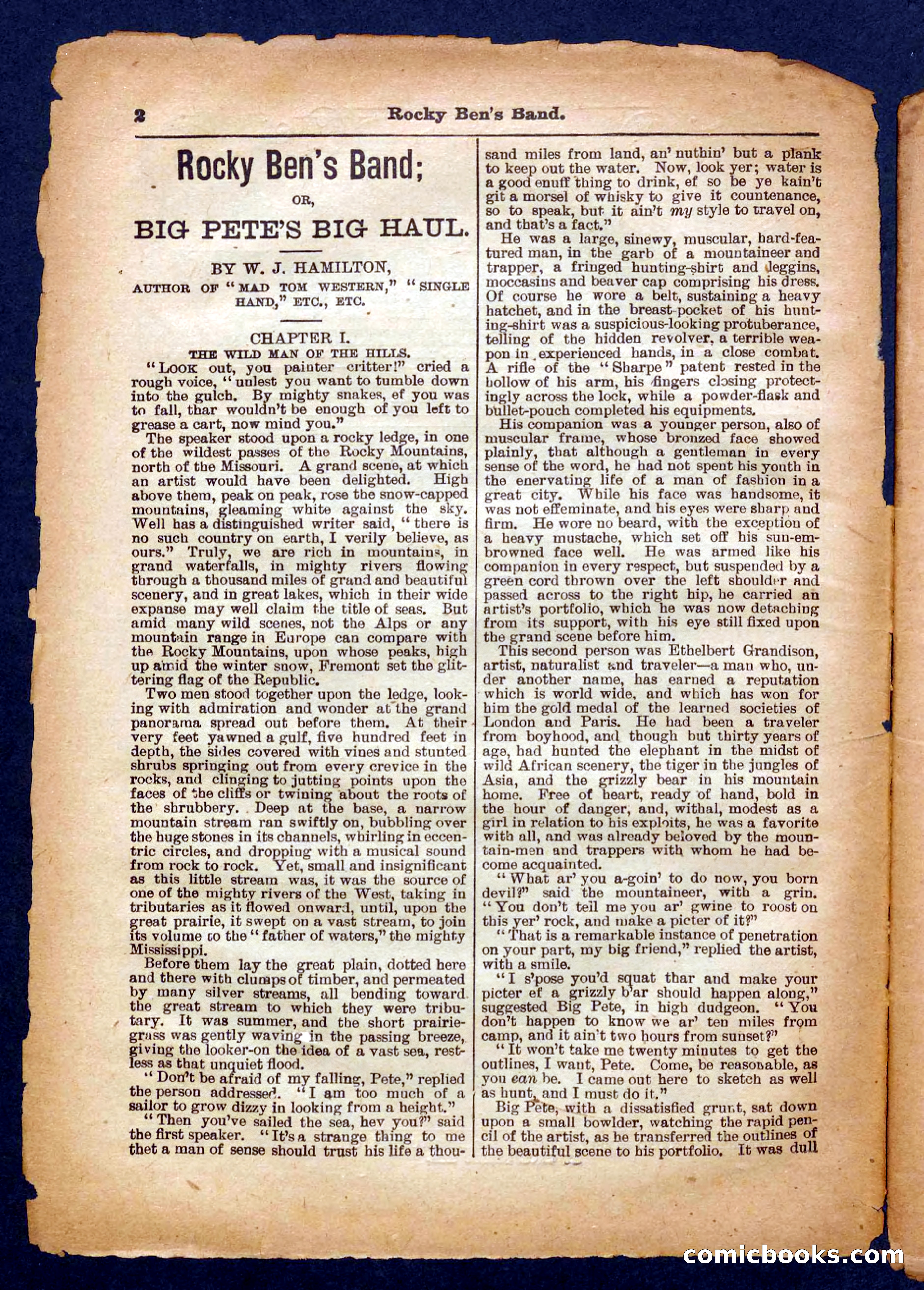 Beadle's Pocket Library No. 328 — page 2 of 32
