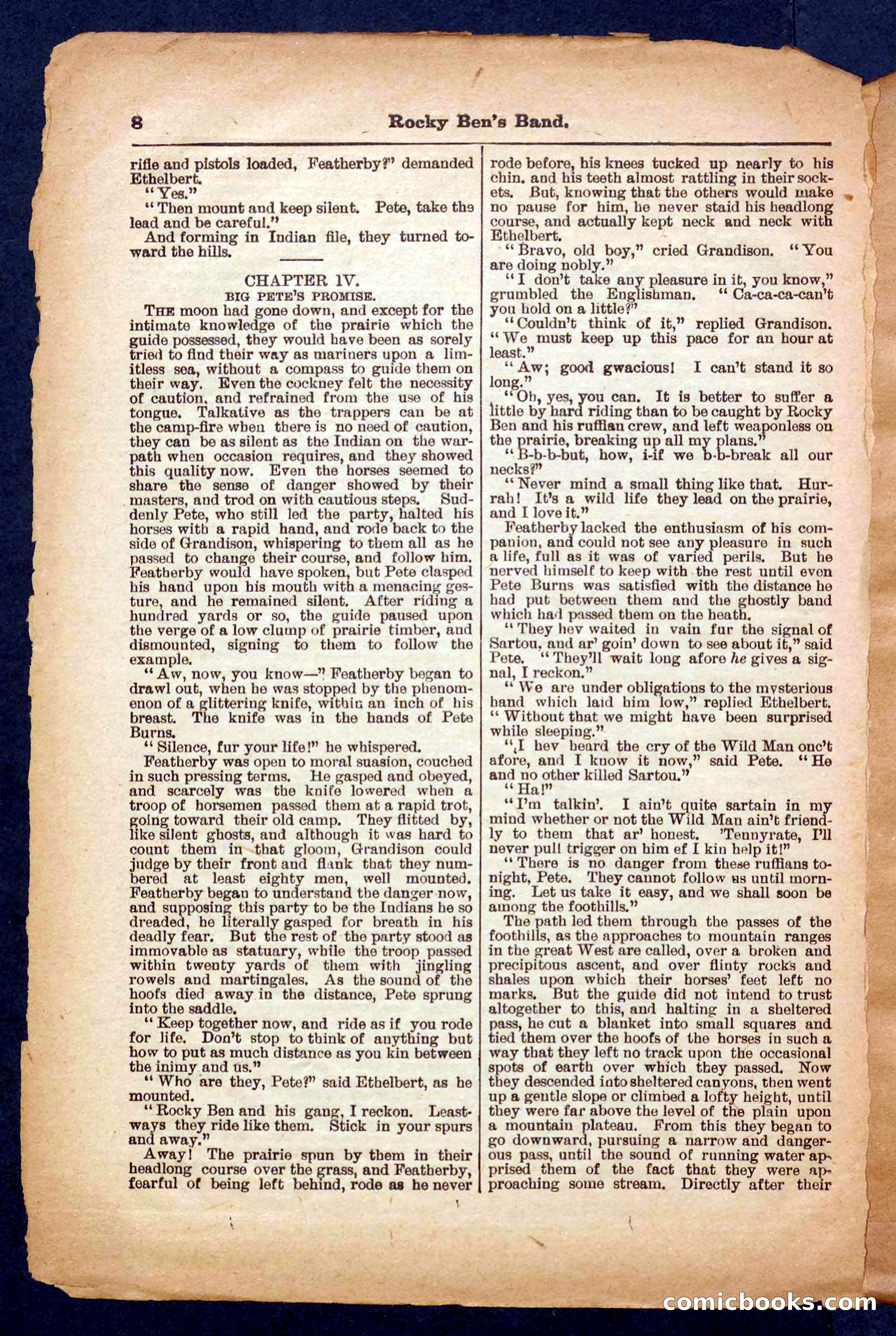 Beadle's Pocket Library No. 328 — page 8 of 32