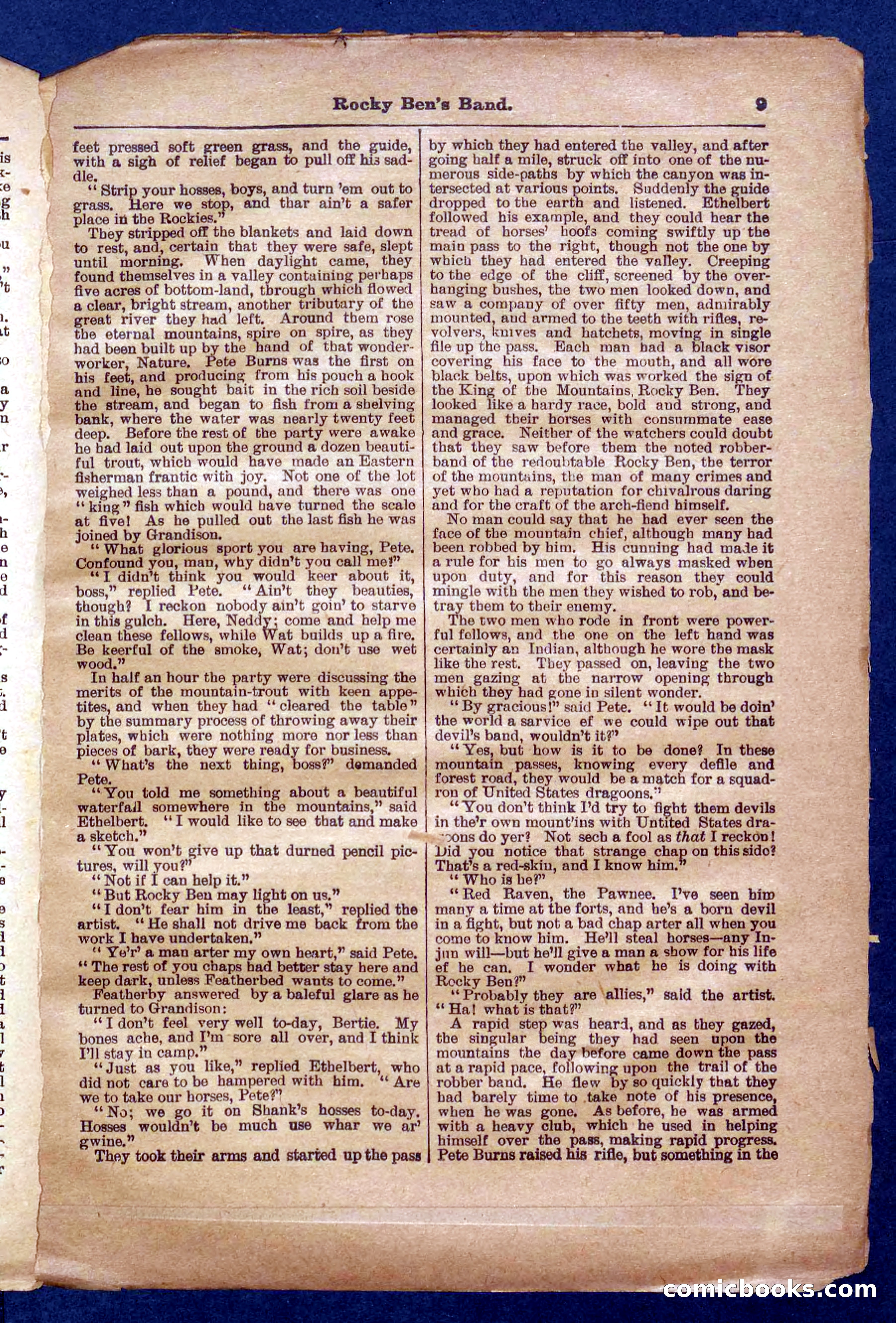 Beadle's Pocket Library No. 328 — page 9 of 32