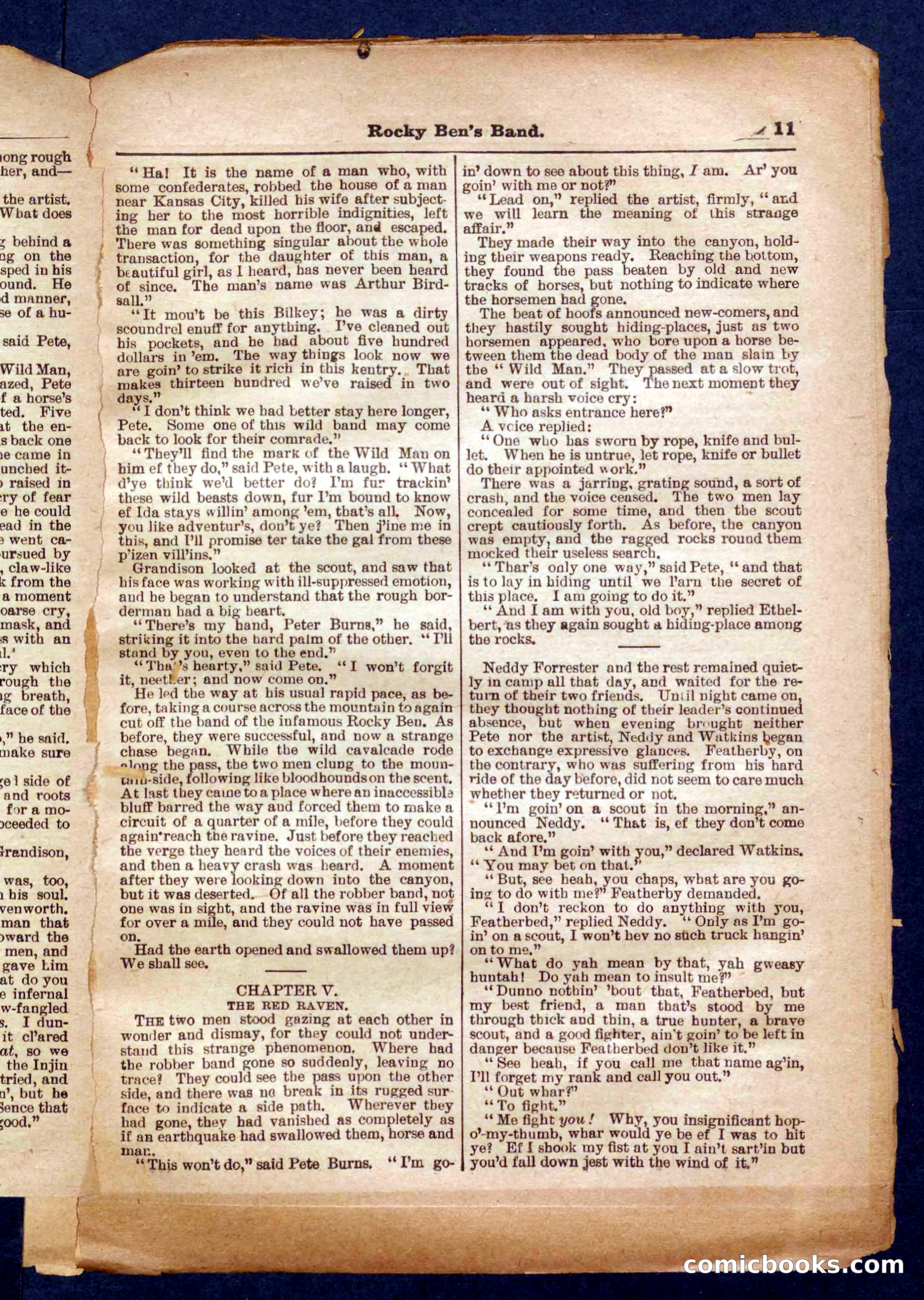 Beadle's Pocket Library No. 328 — page 11 of 32