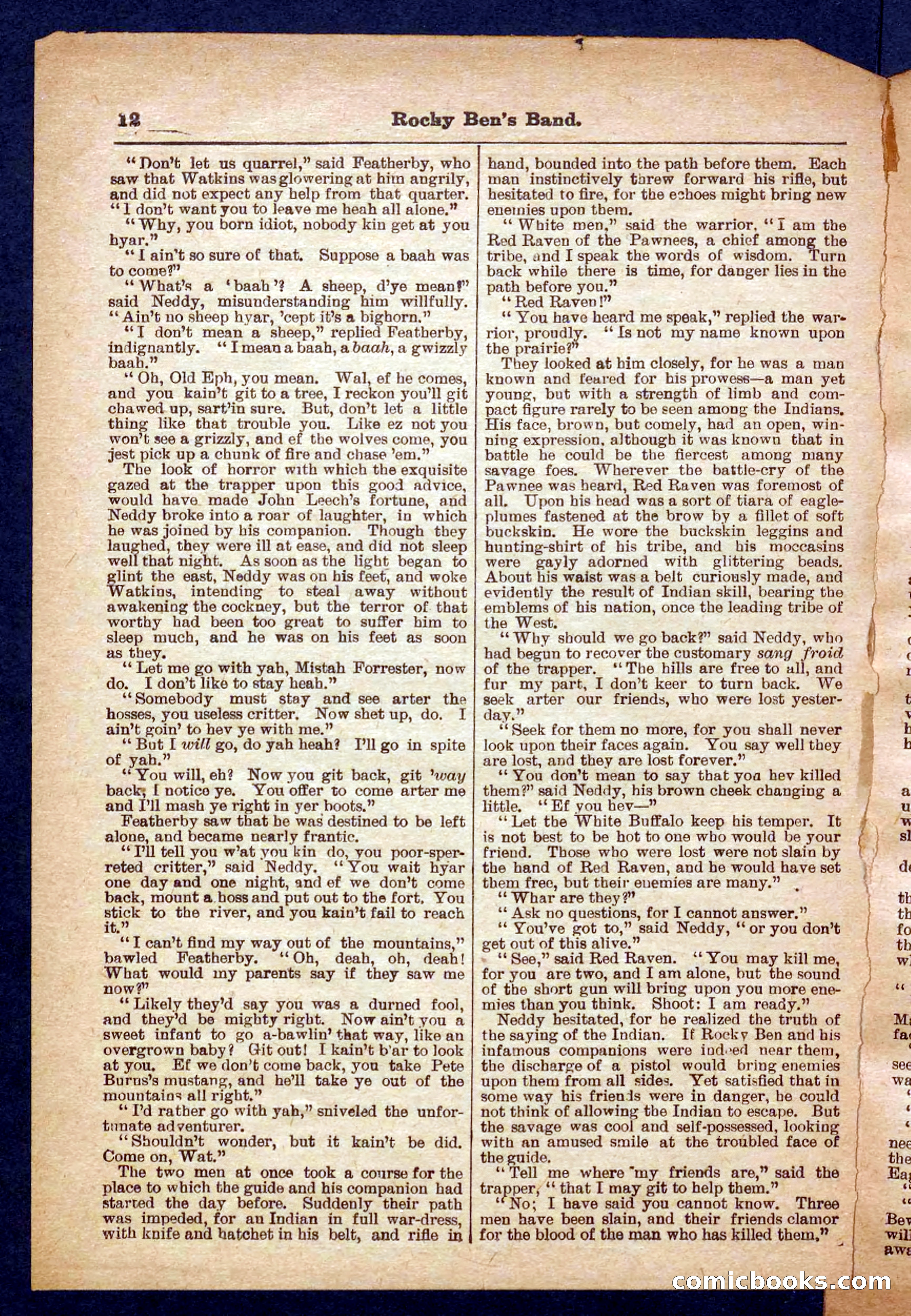 Beadle's Pocket Library No. 328 — page 12 of 32