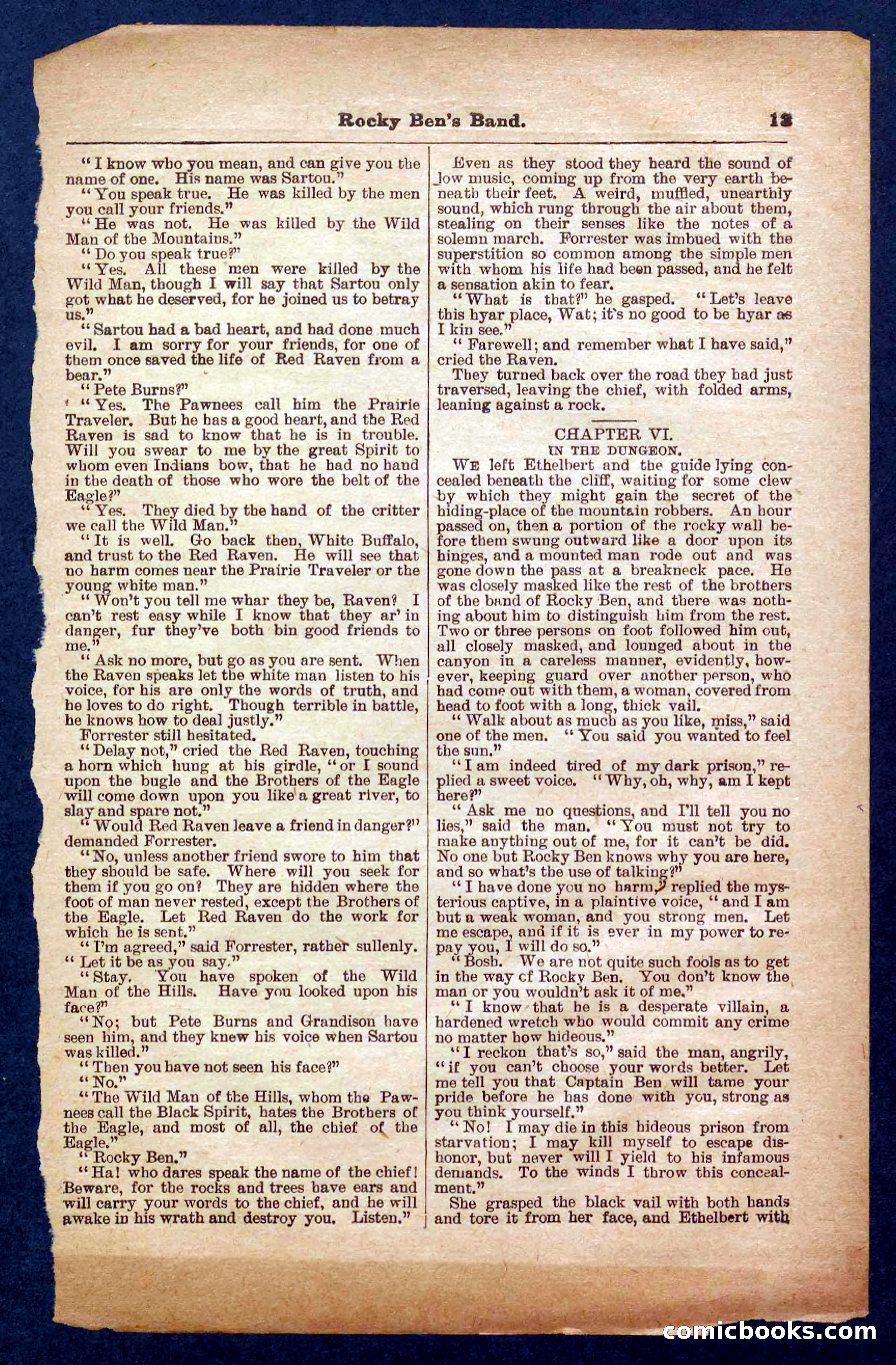 Beadle's Pocket Library No. 328 — page 13 of 32