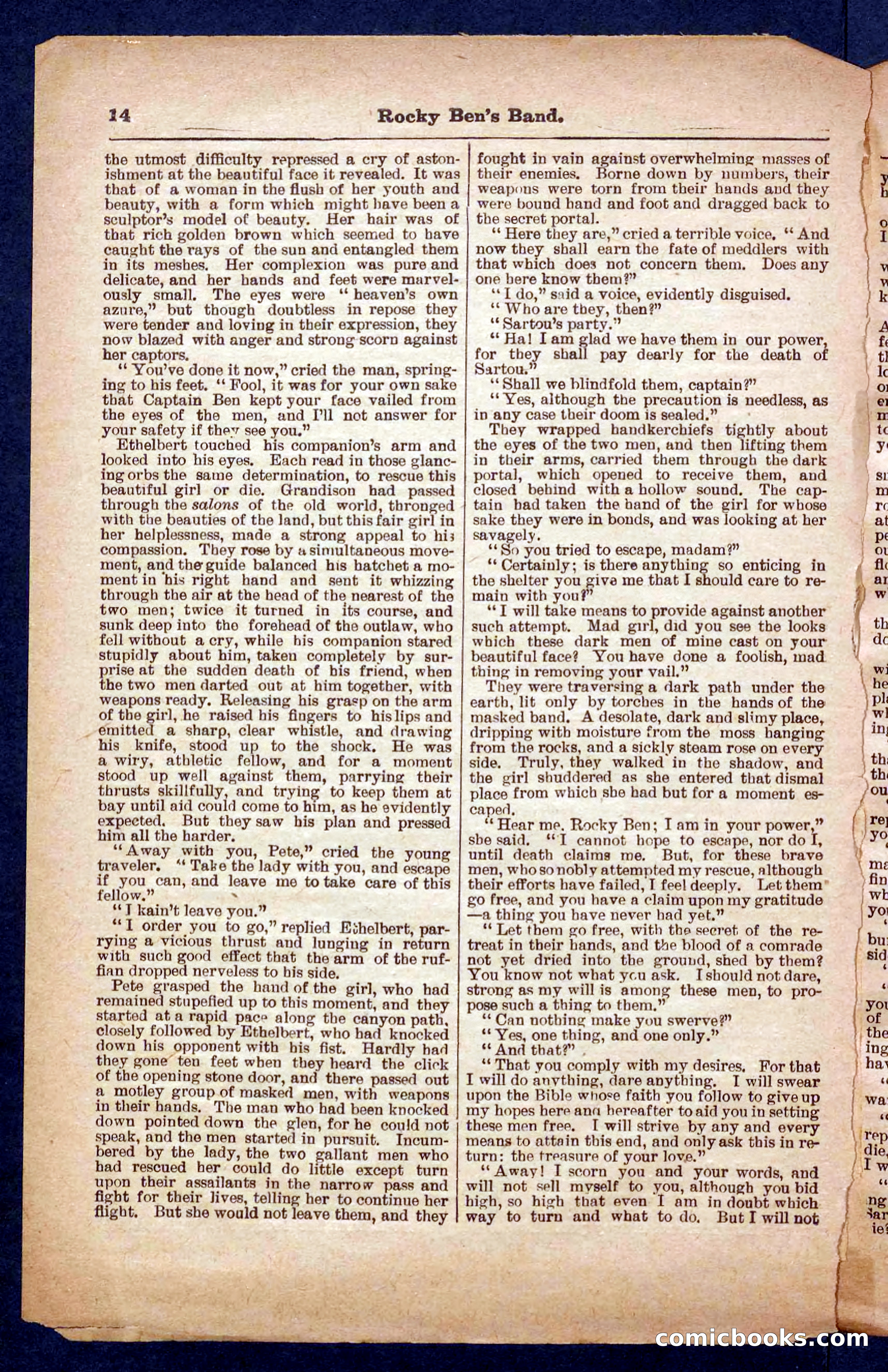 Beadle's Pocket Library No. 328 — page 14 of 32