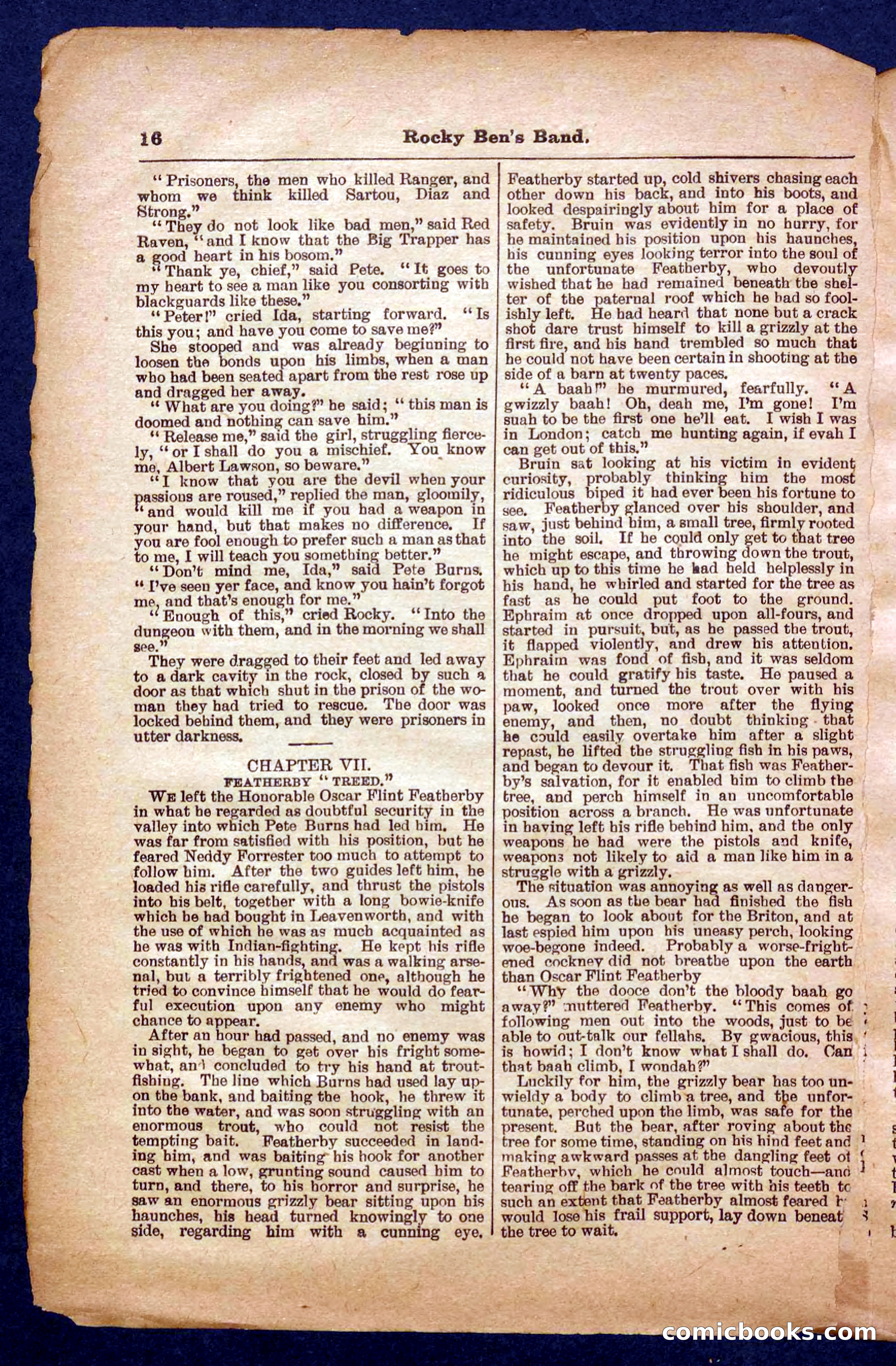 Beadle's Pocket Library No. 328 — page 16 of 32