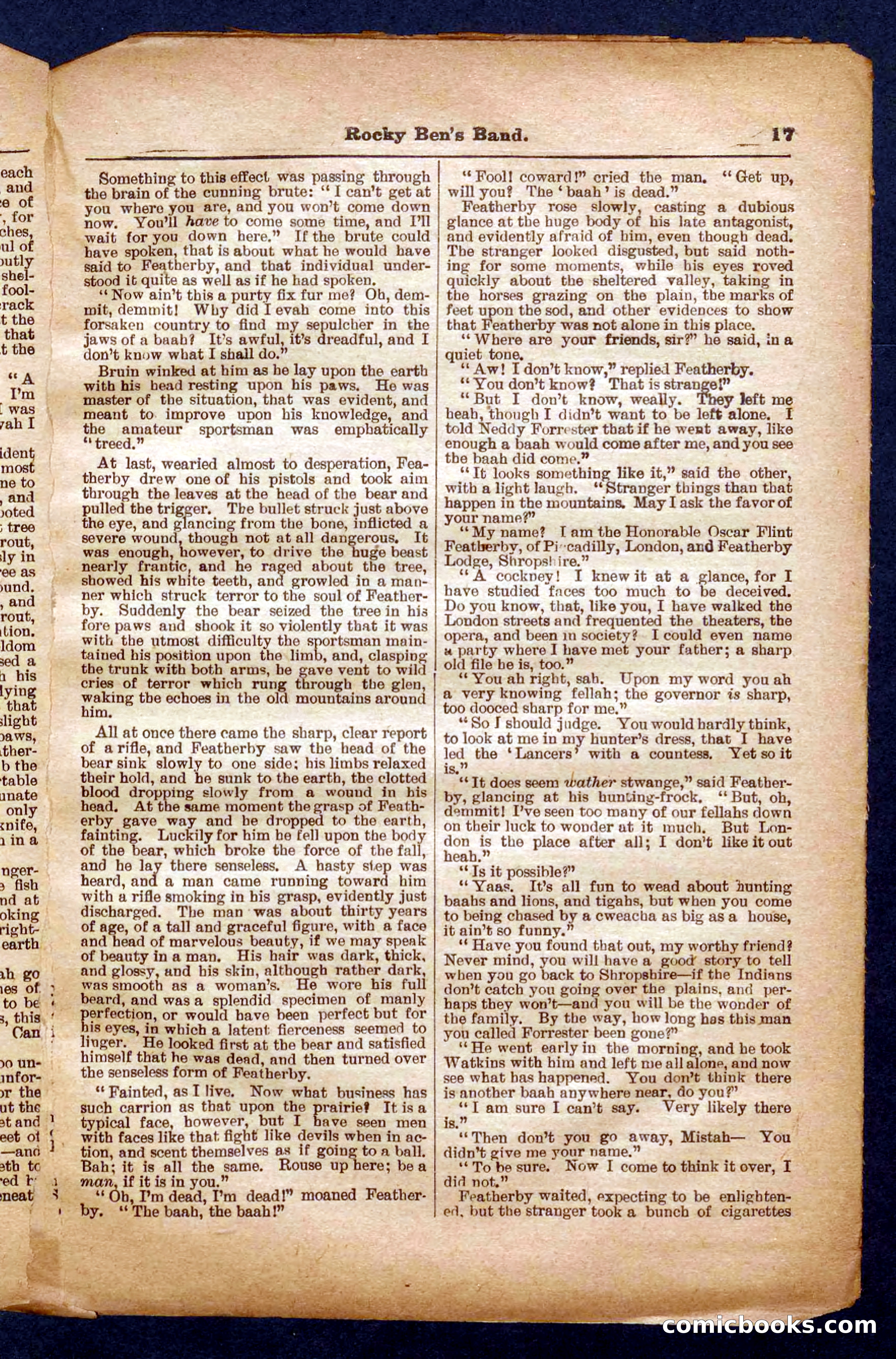 Beadle's Pocket Library No. 328 — page 17 of 32