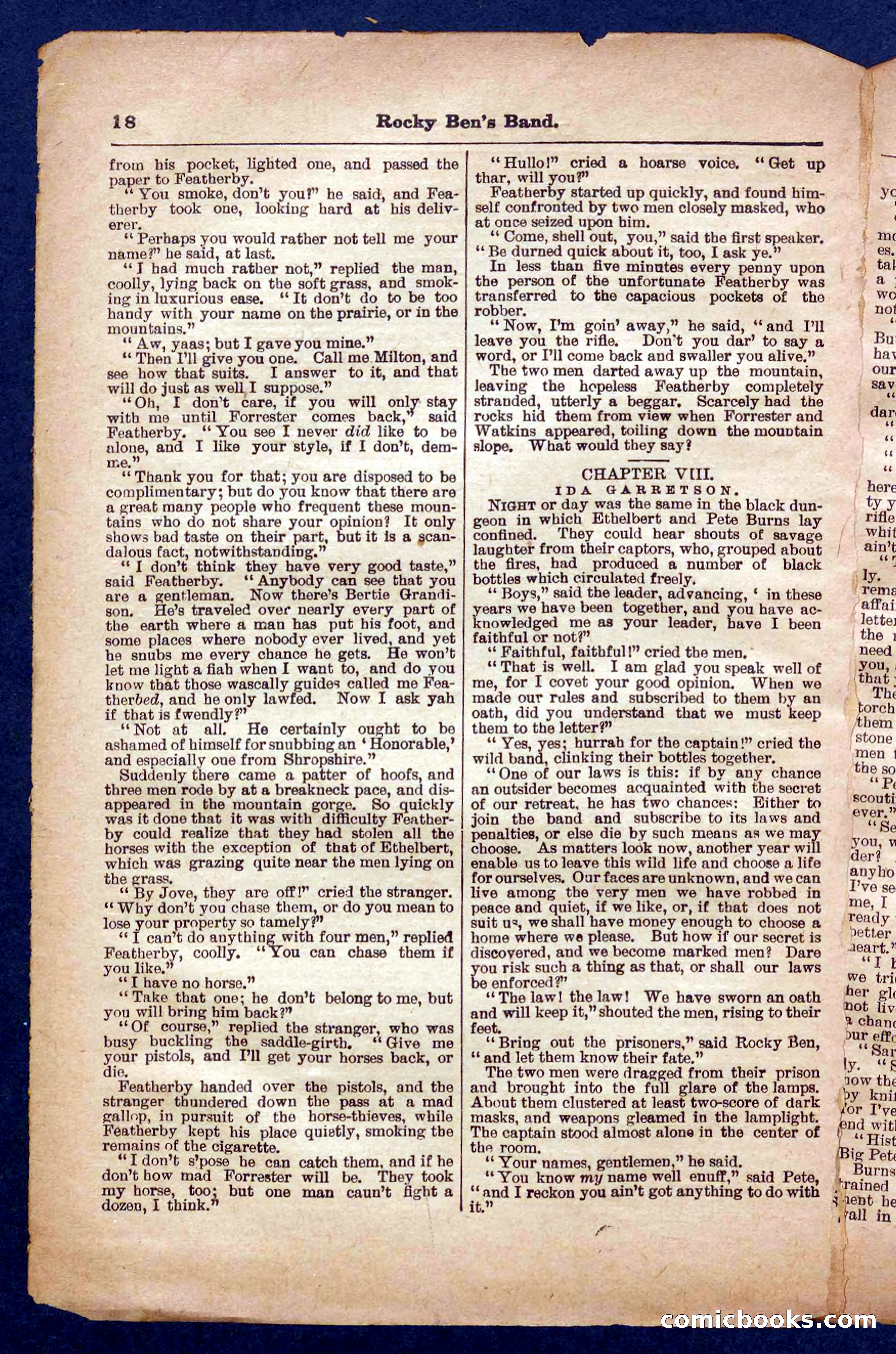 Beadle's Pocket Library No. 328 — page 18 of 32