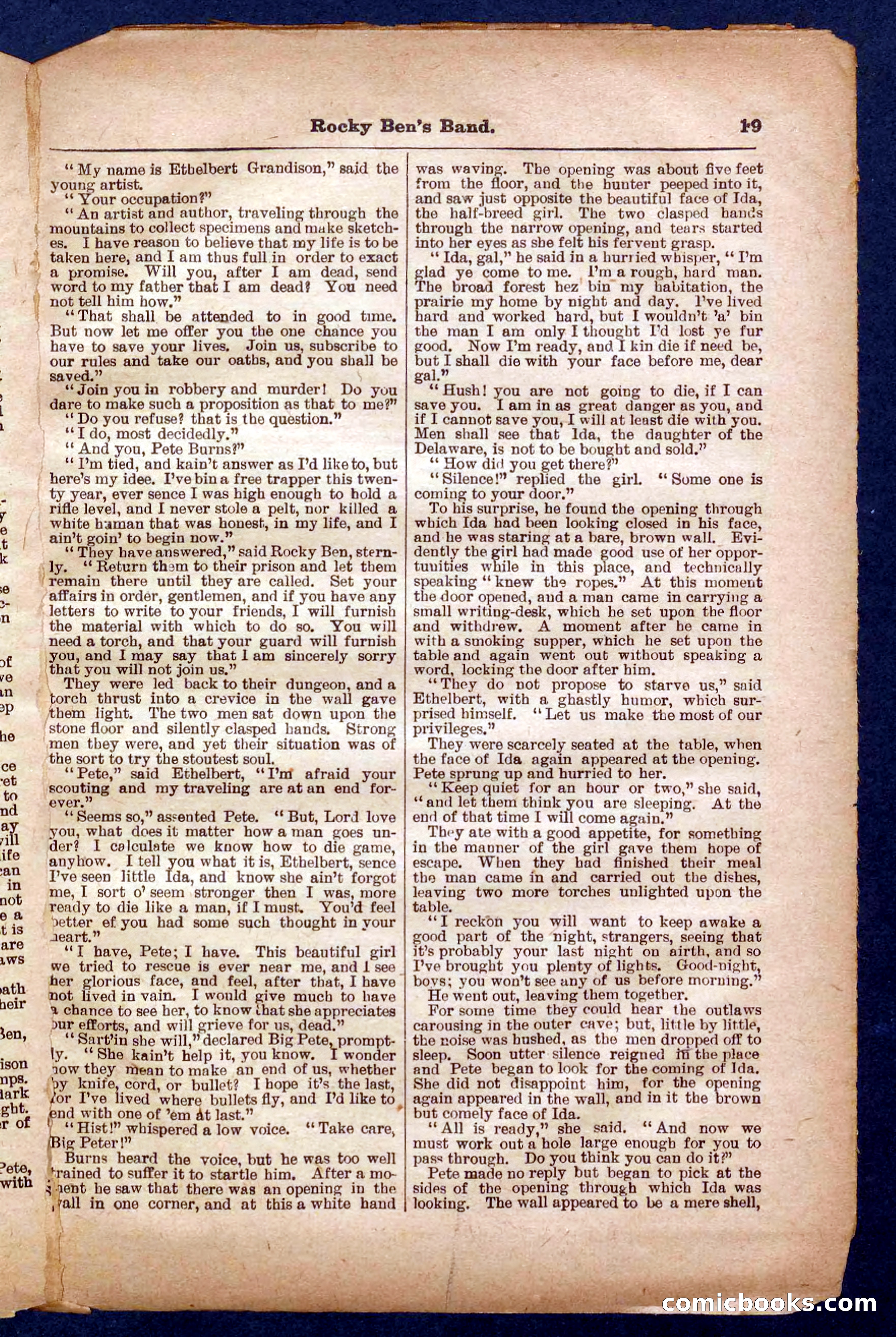 Beadle's Pocket Library No. 328 — page 19 of 32