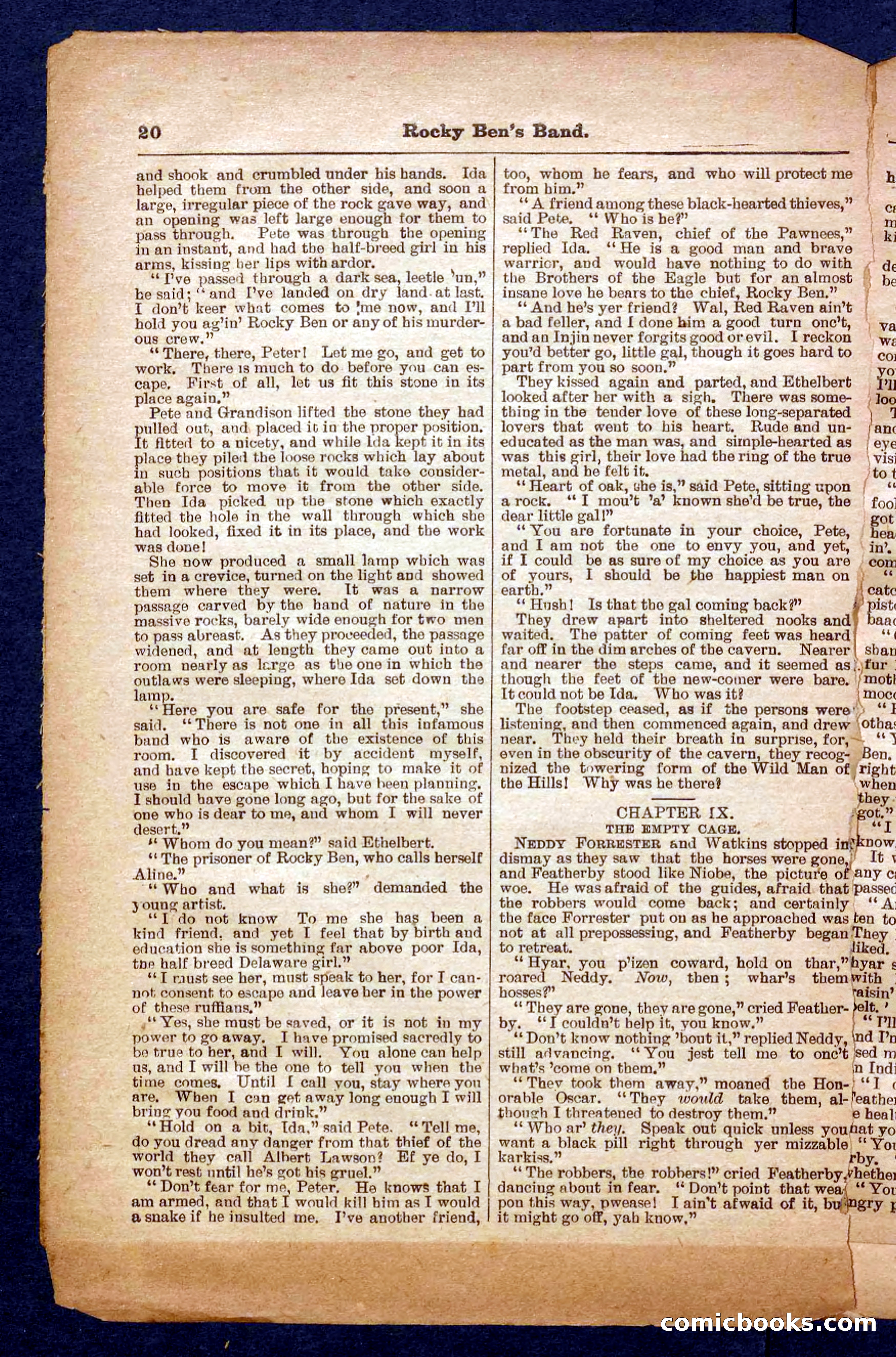 Beadle's Pocket Library No. 328 — page 20 of 32