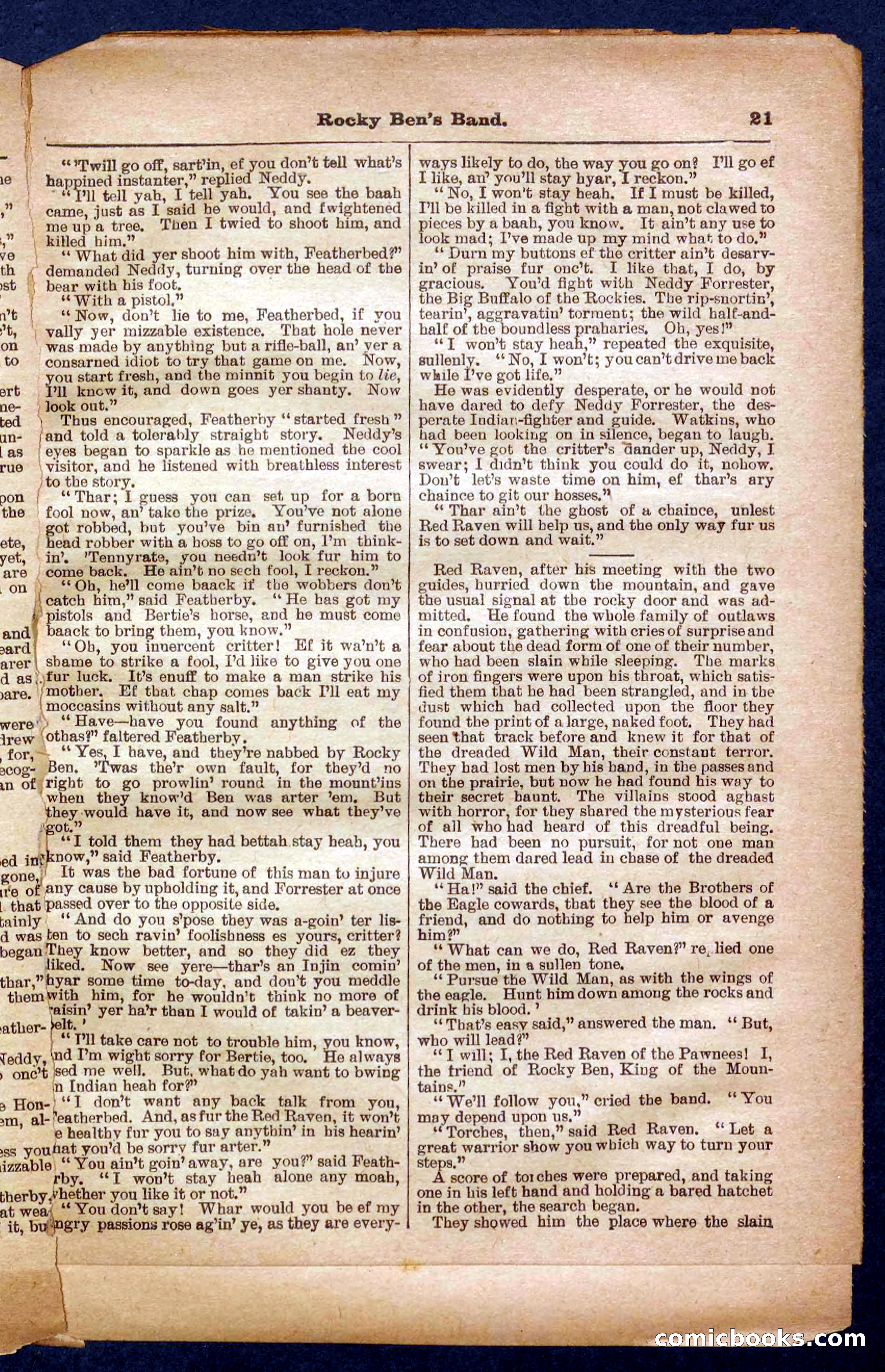 Beadle's Pocket Library No. 328 — page 21 of 32