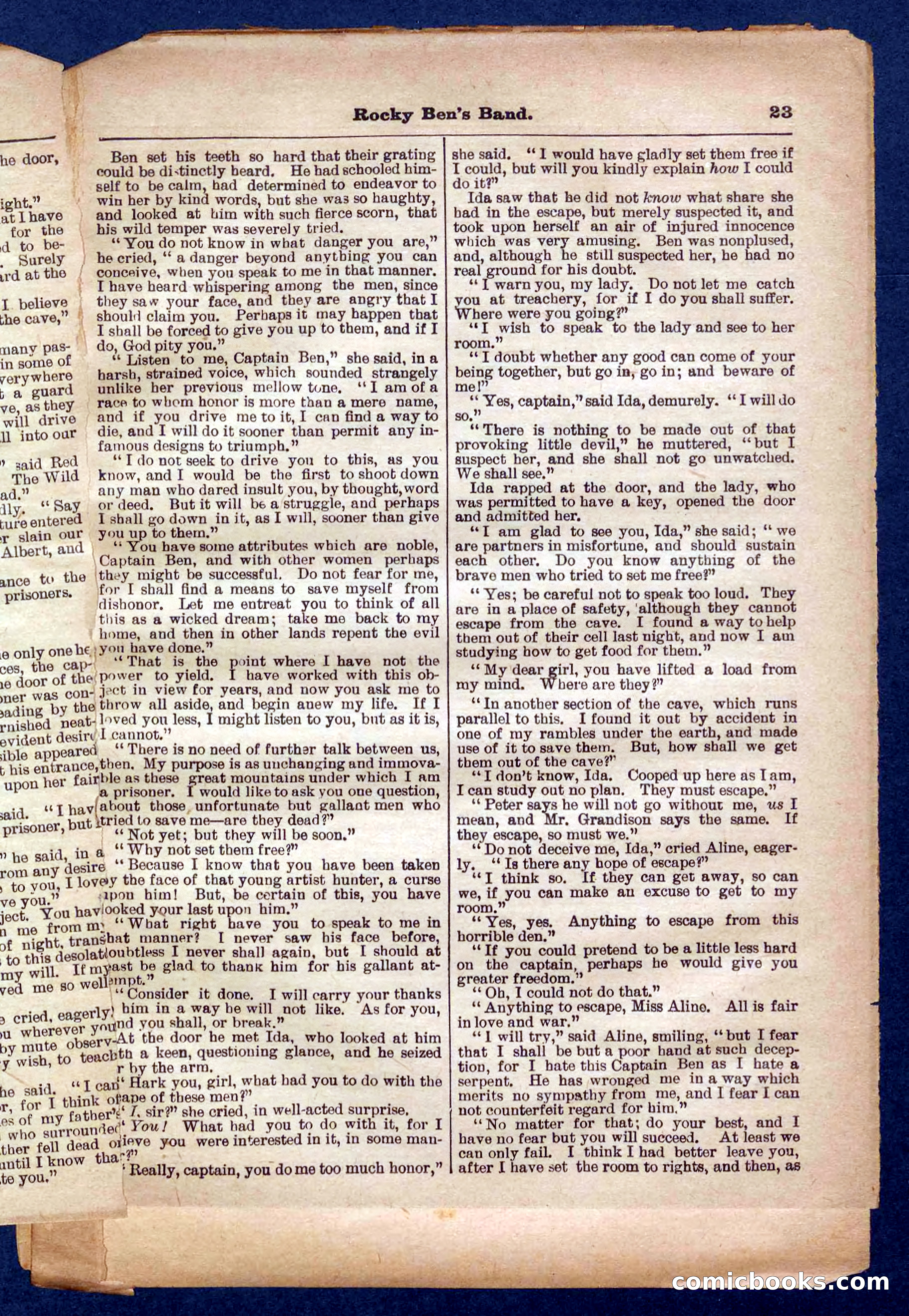 Beadle's Pocket Library No. 328 — page 23 of 32