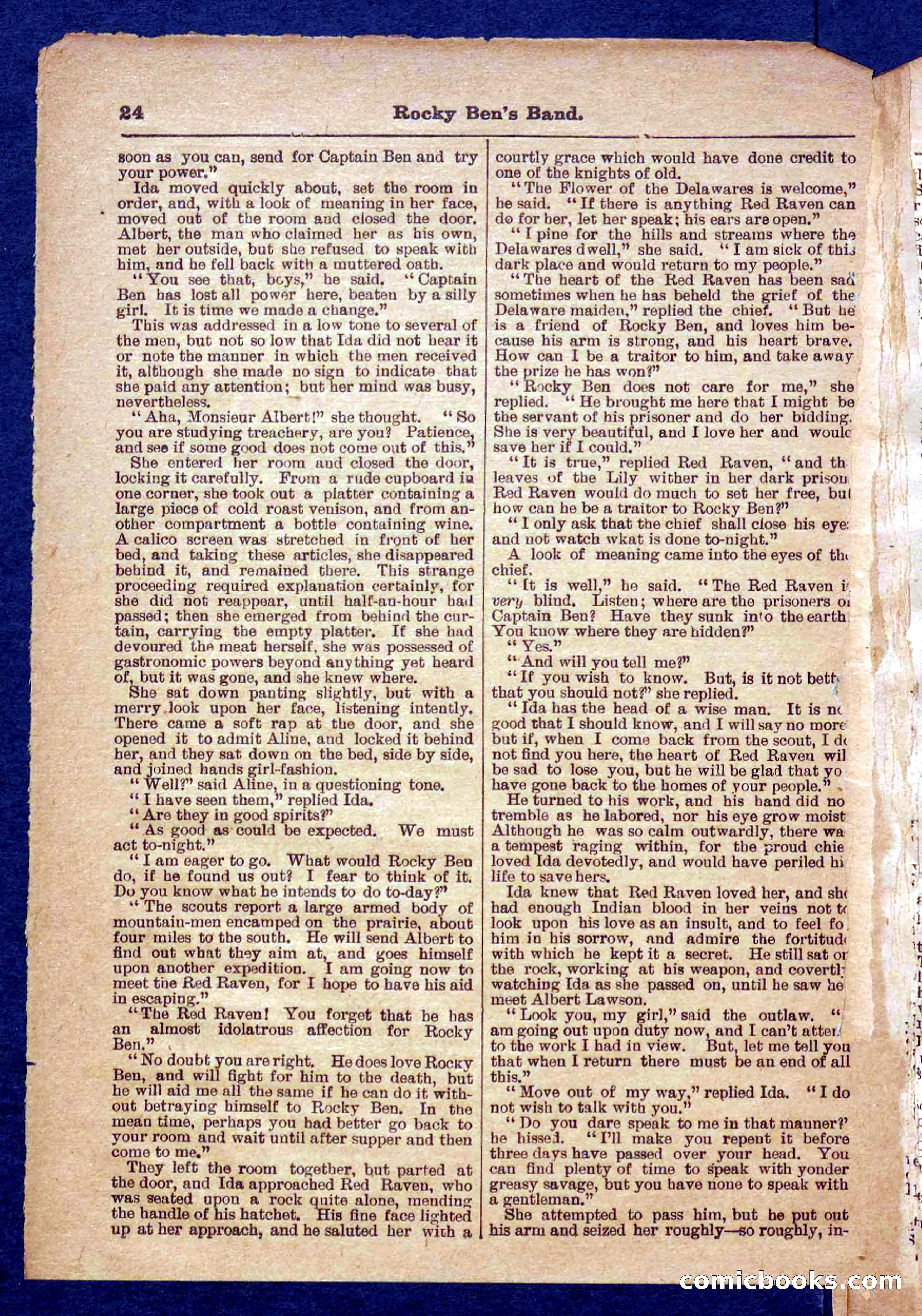 Beadle's Pocket Library No. 328 — page 24 of 32