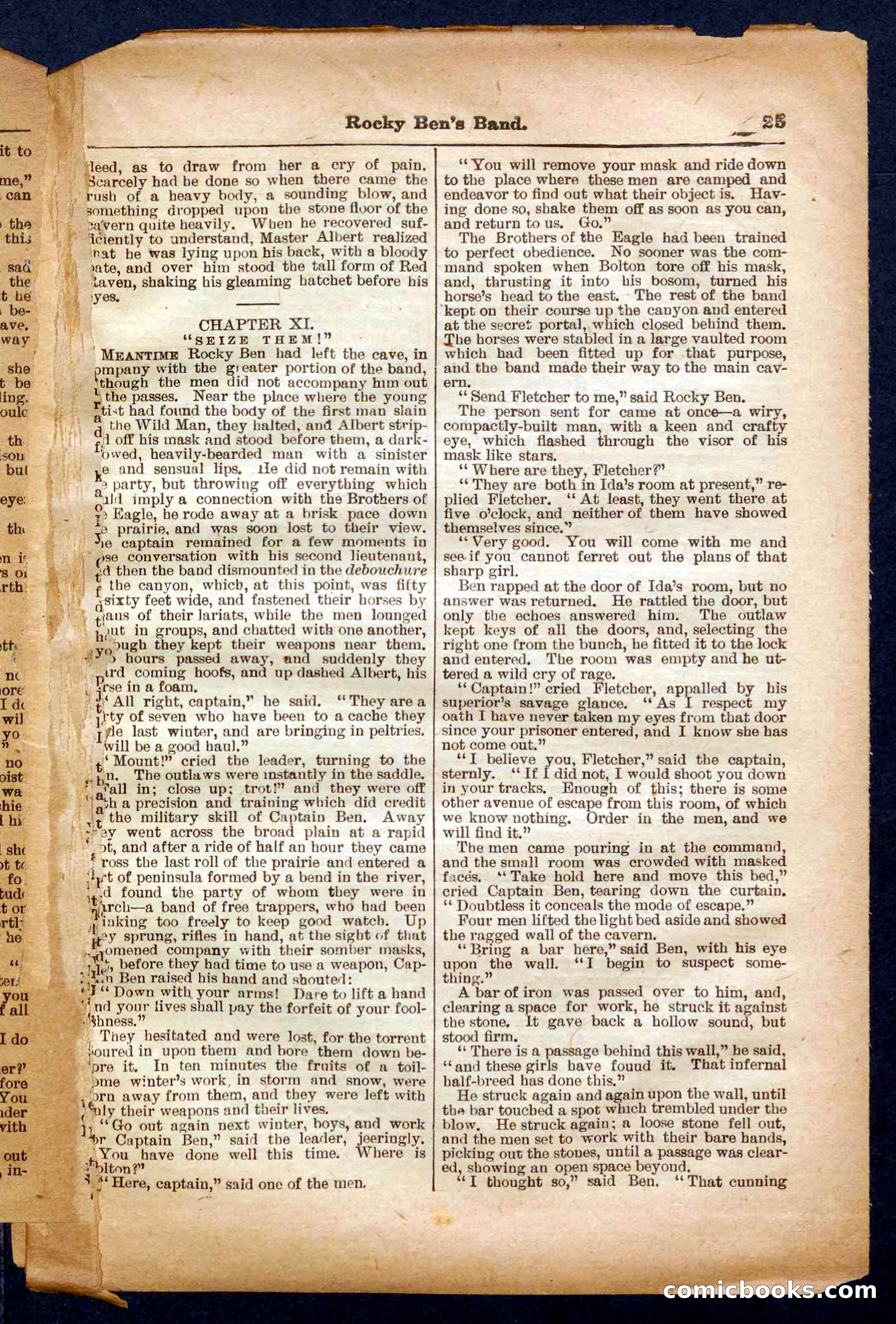 Beadle's Pocket Library No. 328 — page 25 of 32