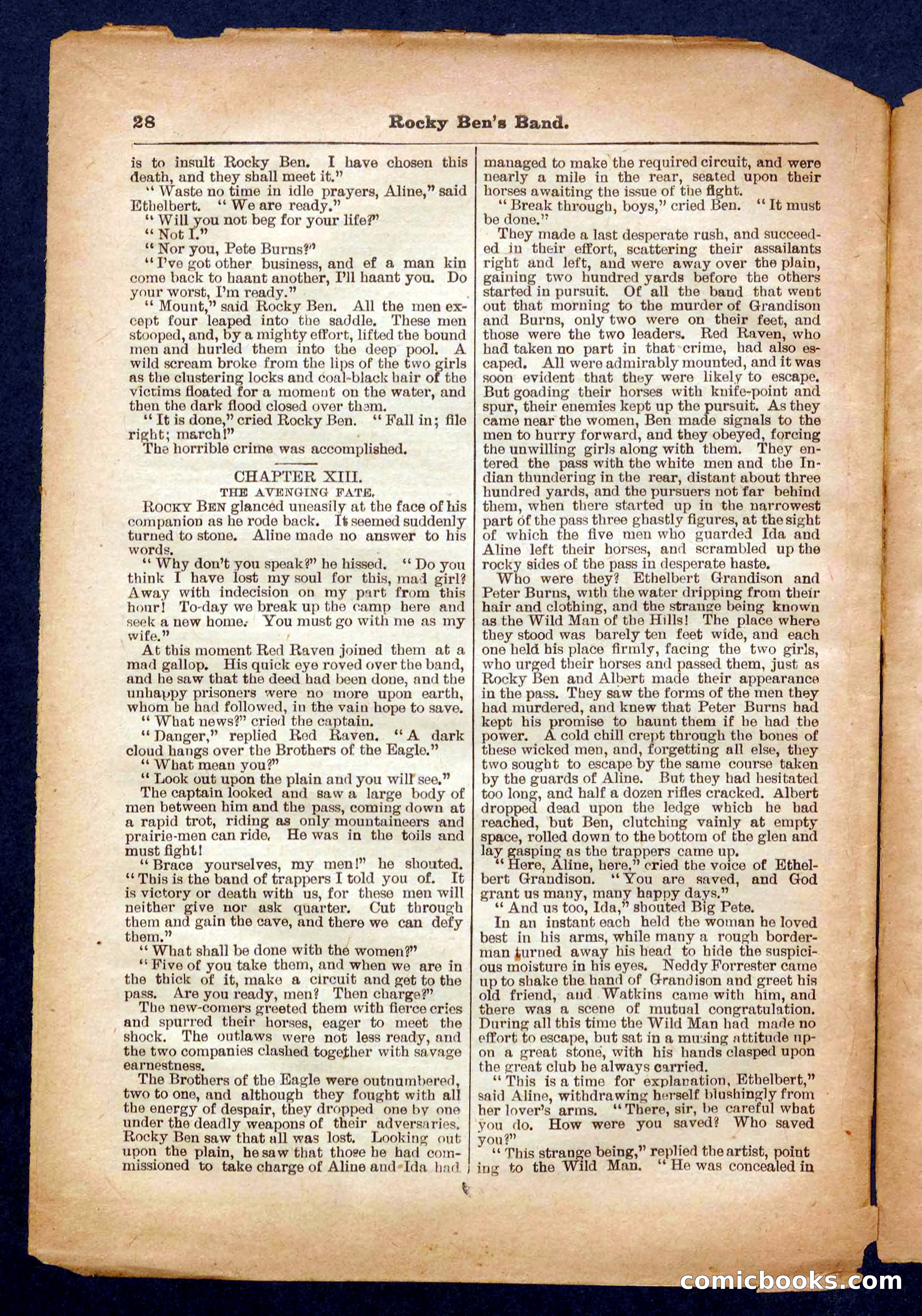 Beadle's Pocket Library No. 328 — page 28 of 32