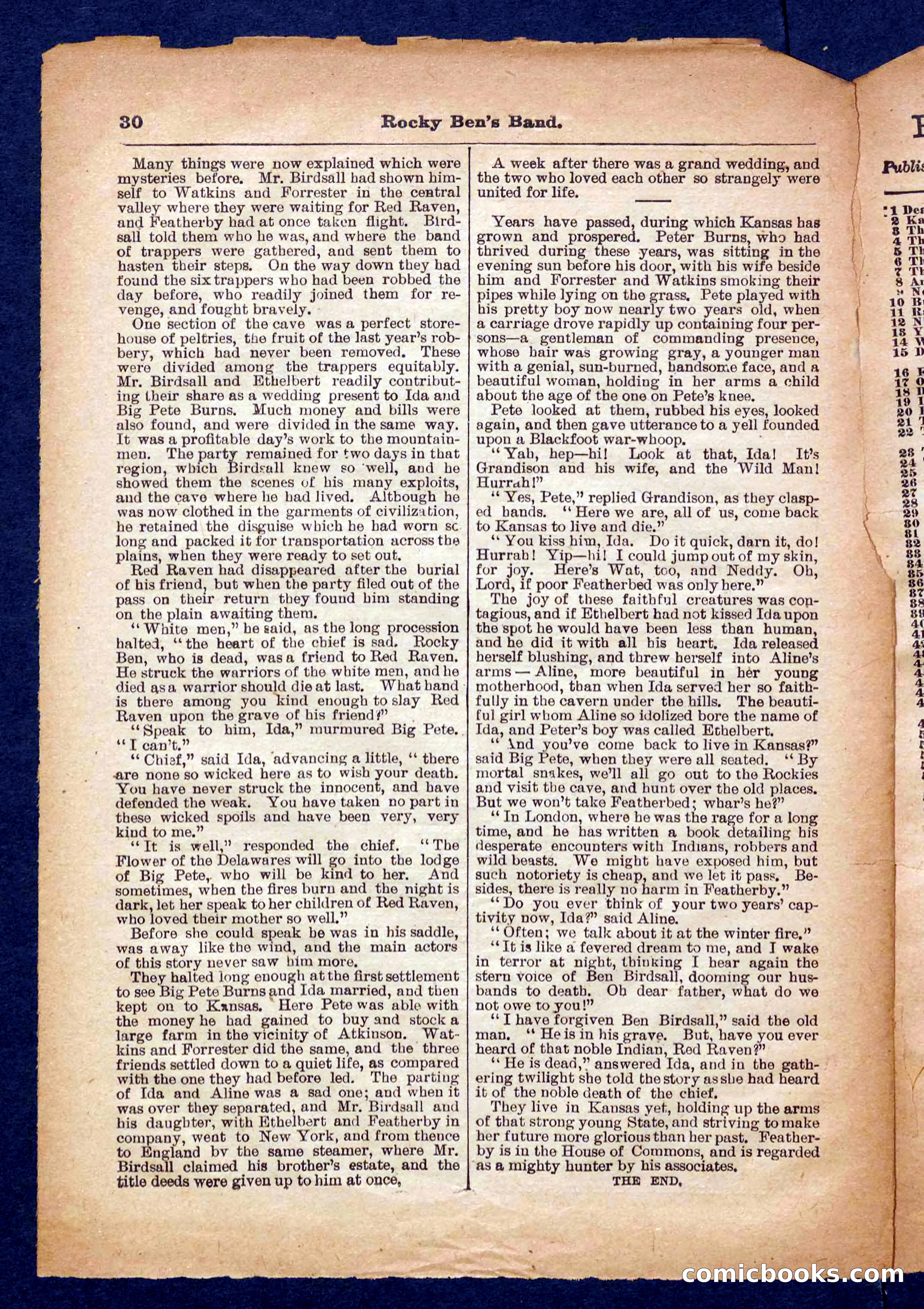 Beadle's Pocket Library No. 328 — page 30 of 32