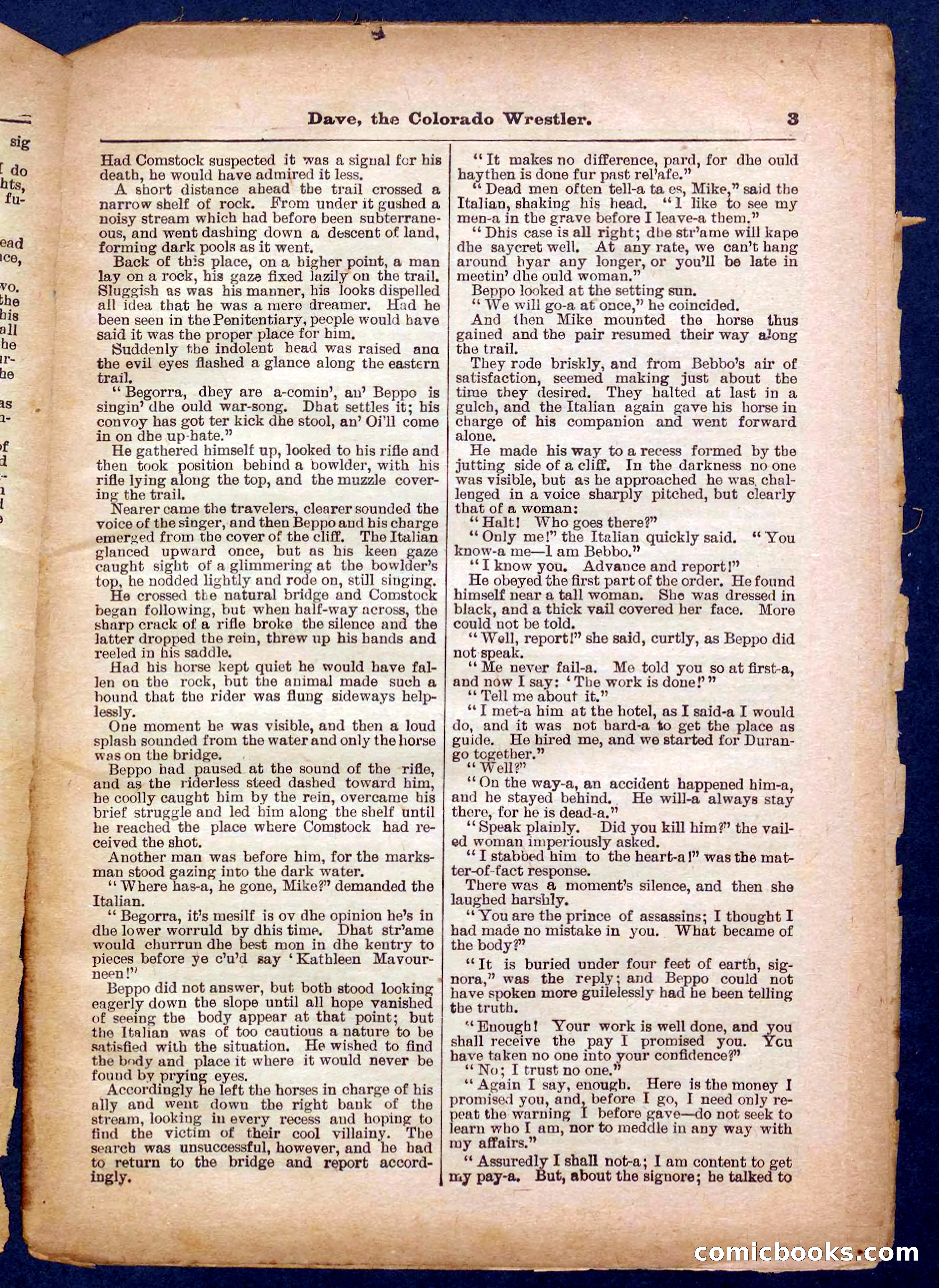 Beadle's Pocket Library No. 329: Dave the Colorado Wrestler — page 3 of 32