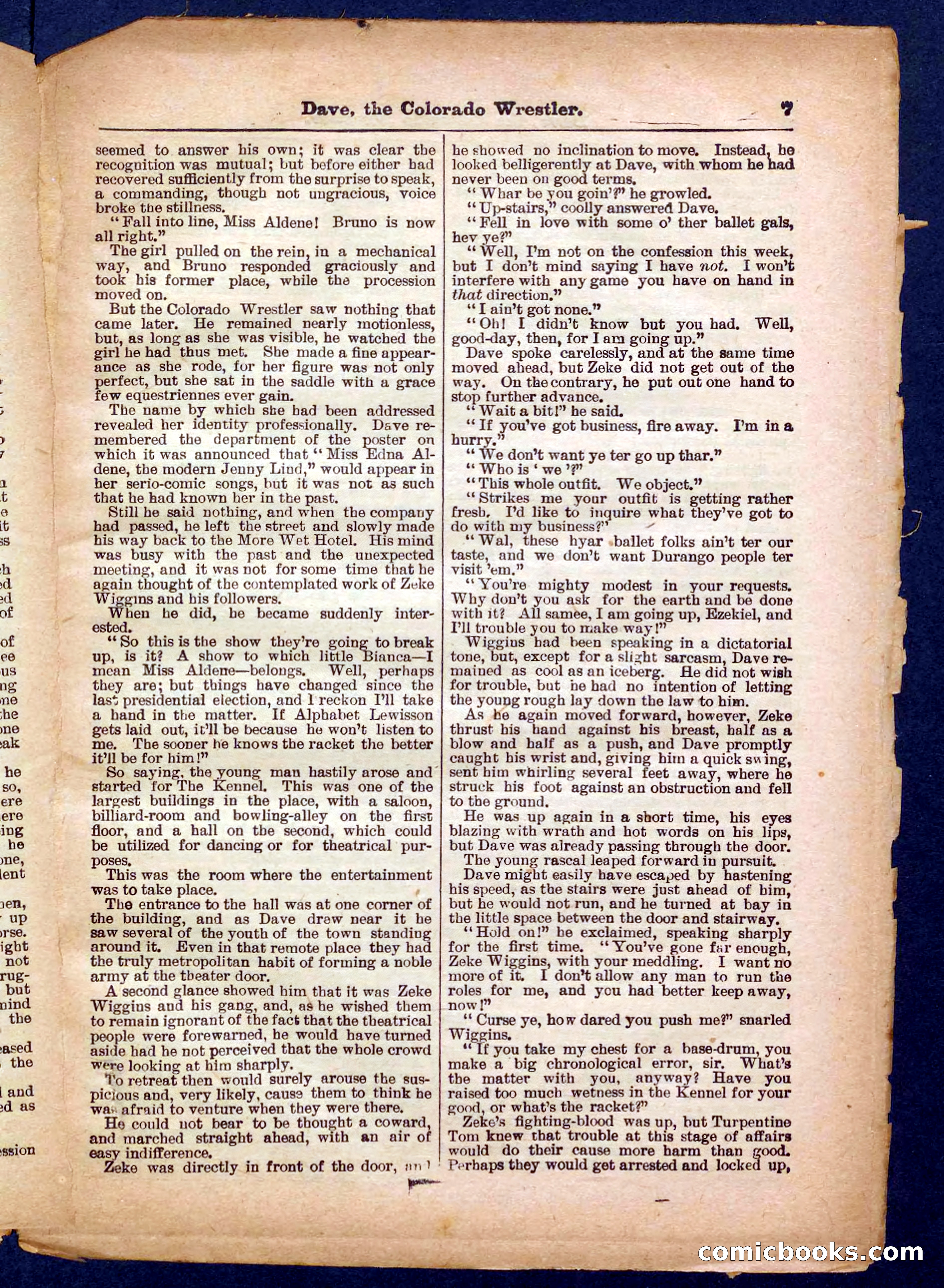 Beadle's Pocket Library No. 329: Dave the Colorado Wrestler — page 7 of 32
