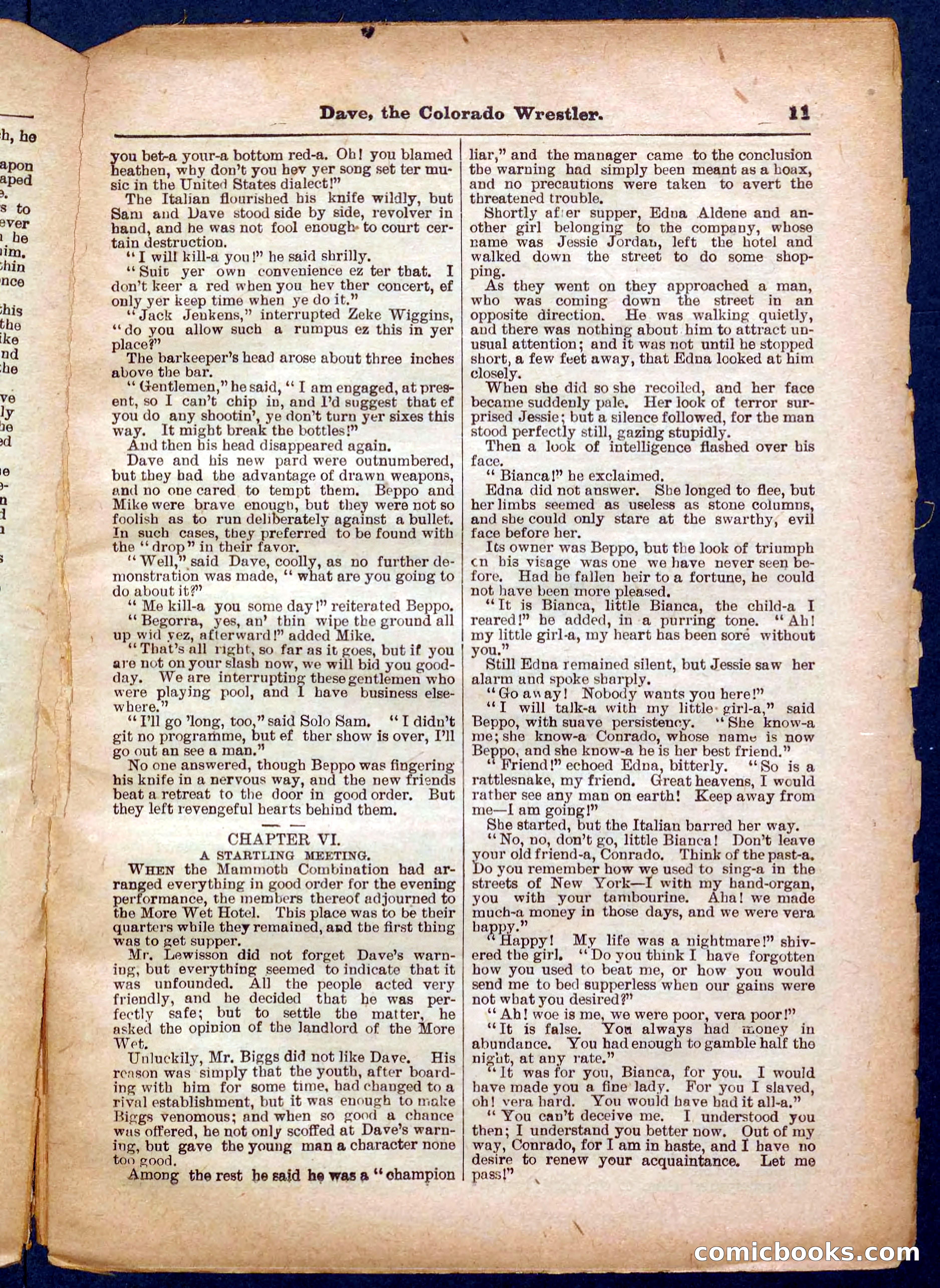 Beadle's Pocket Library No. 329: Dave the Colorado Wrestler — page 11 of 32