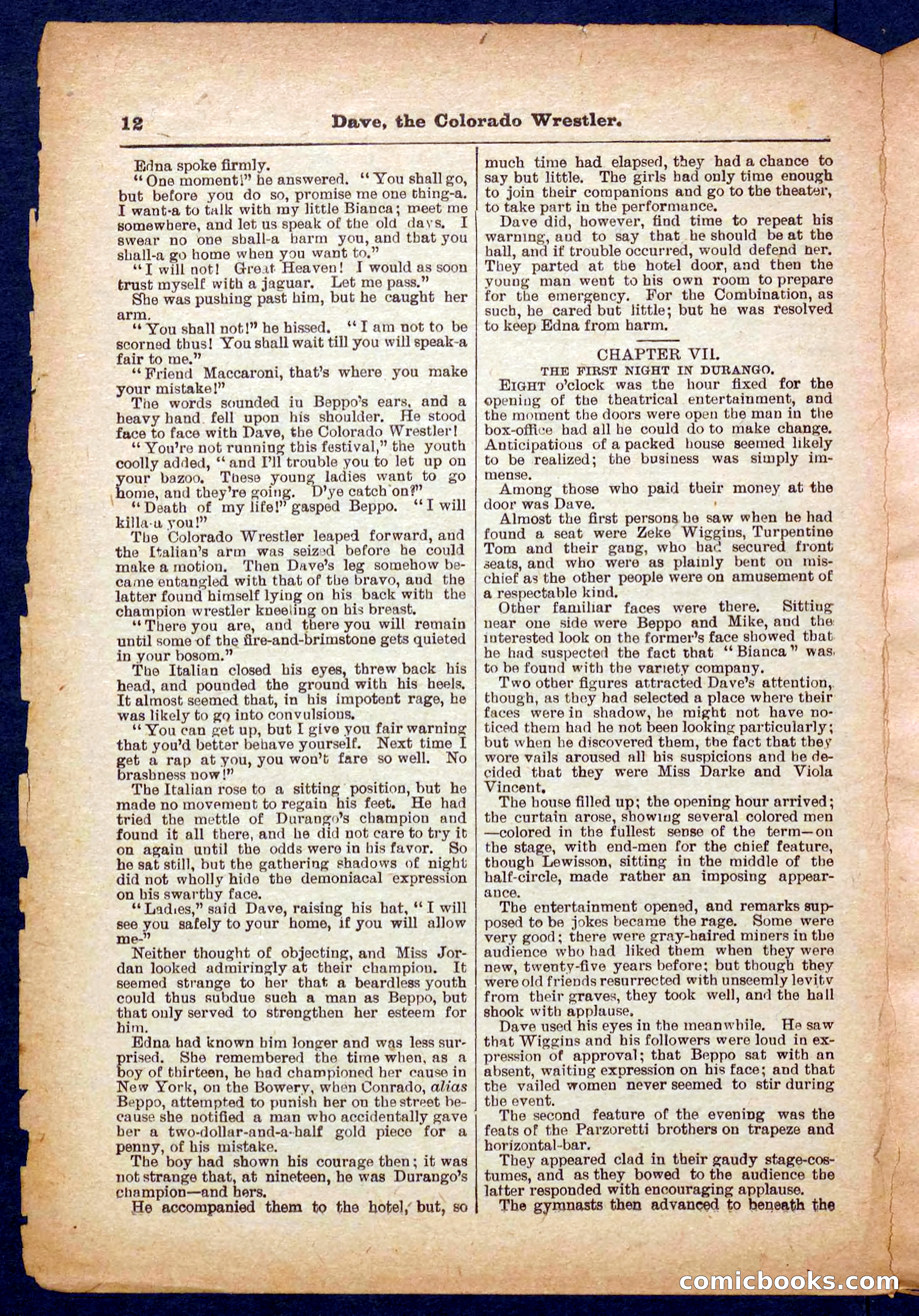 Beadle's Pocket Library No. 329: Dave the Colorado Wrestler — page 12 of 32