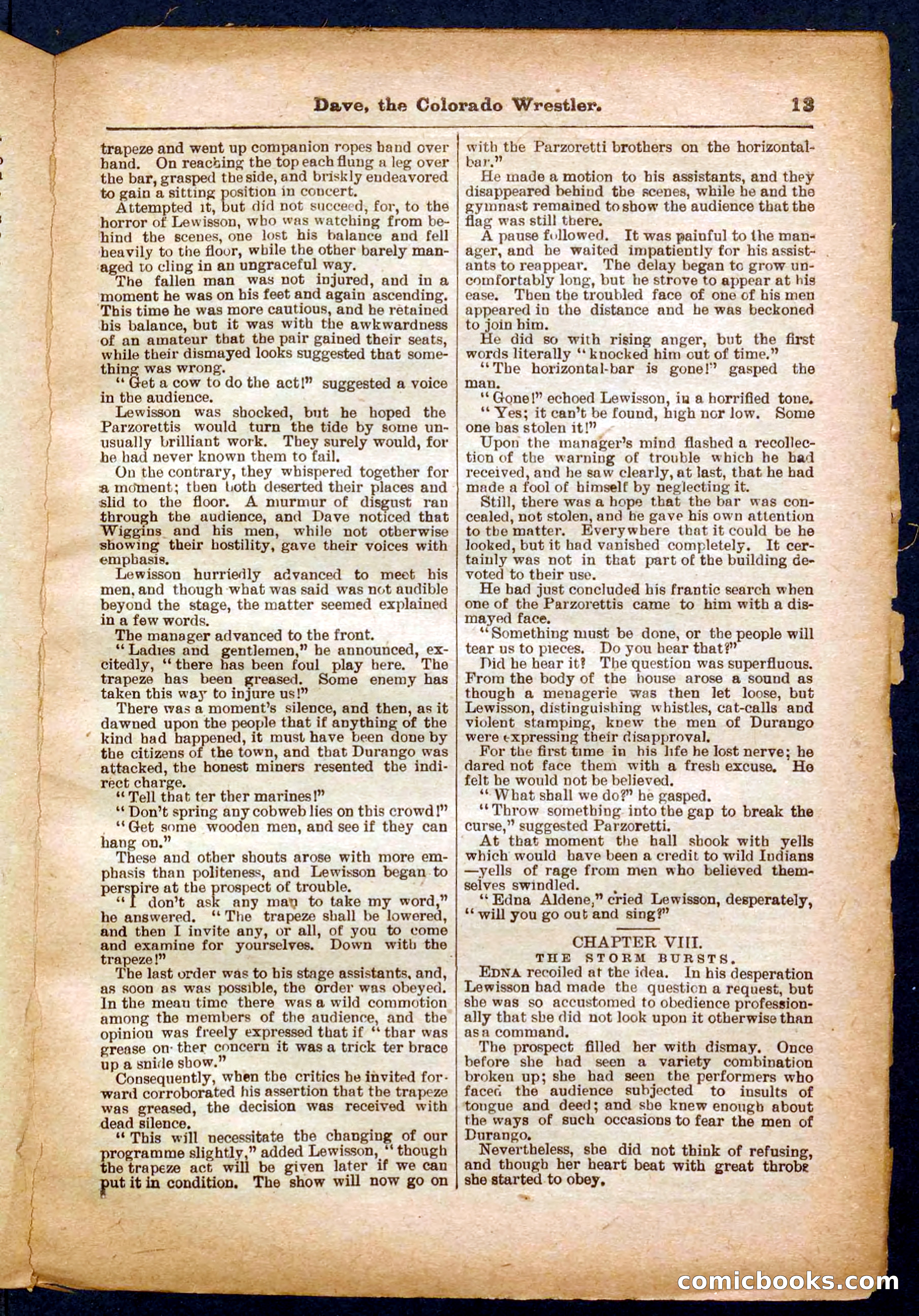 Beadle's Pocket Library No. 329: Dave the Colorado Wrestler — page 13 of 32