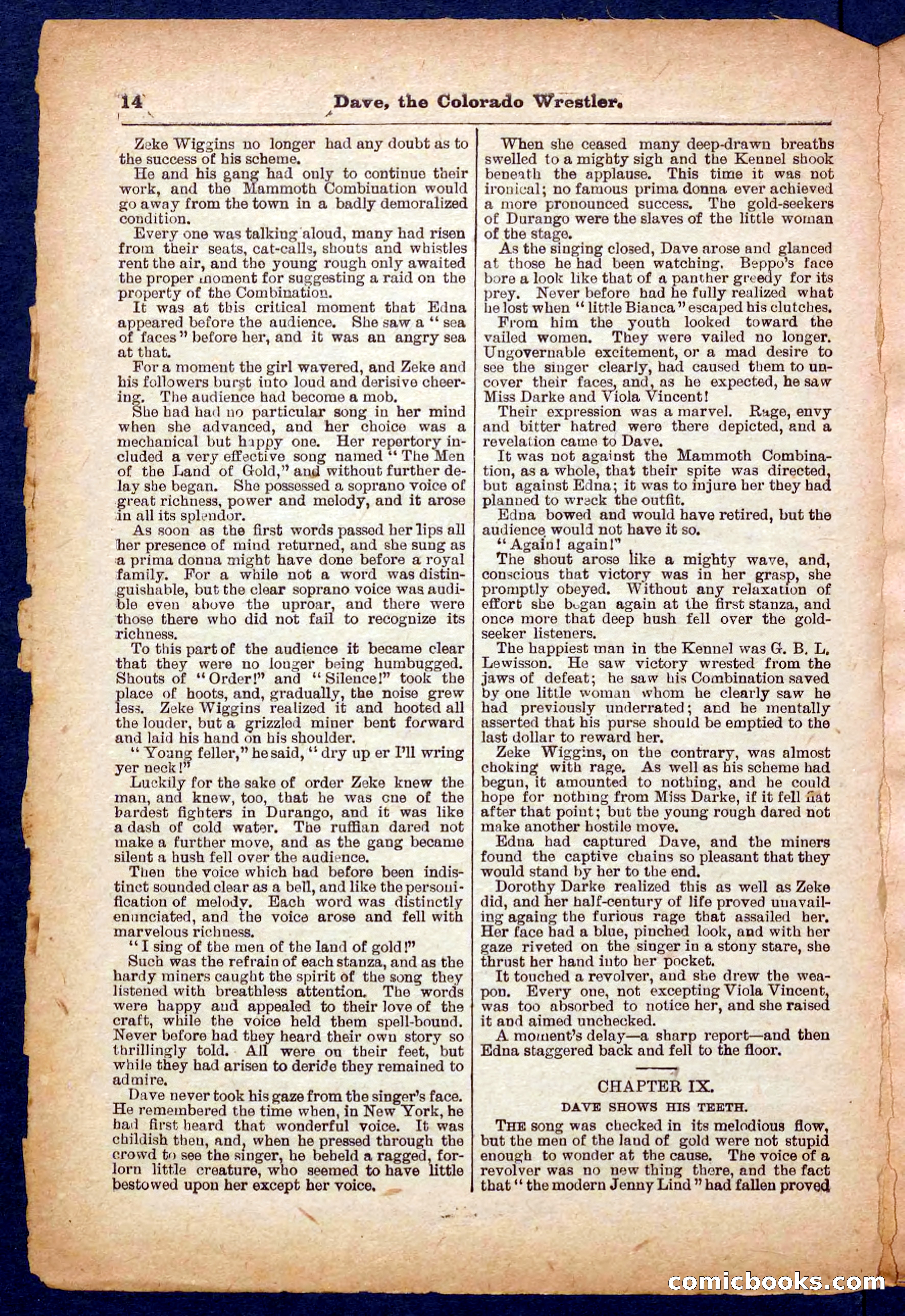 Beadle's Pocket Library No. 329: Dave the Colorado Wrestler — page 14 of 32