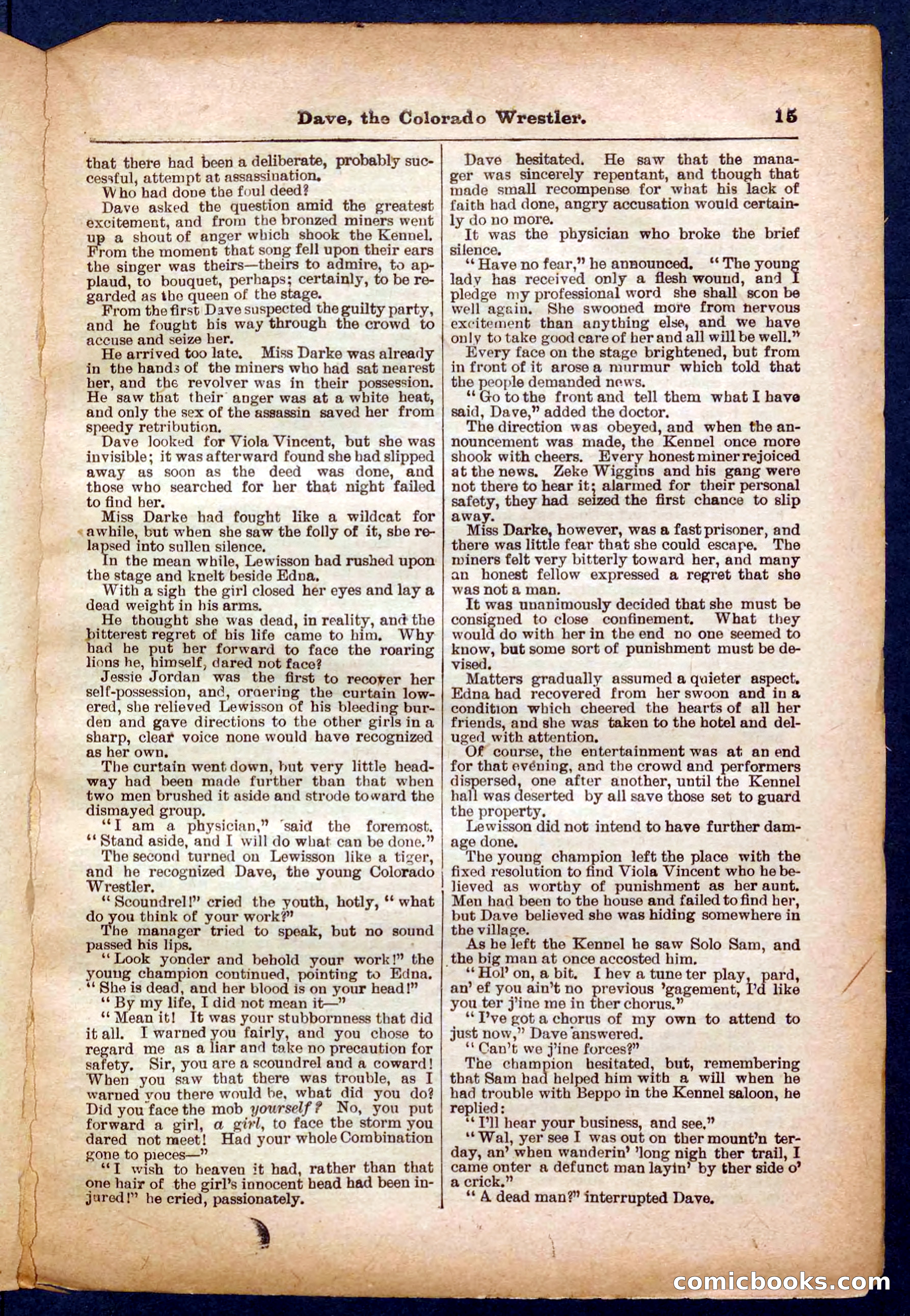 Beadle's Pocket Library No. 329: Dave the Colorado Wrestler — page 15 of 32