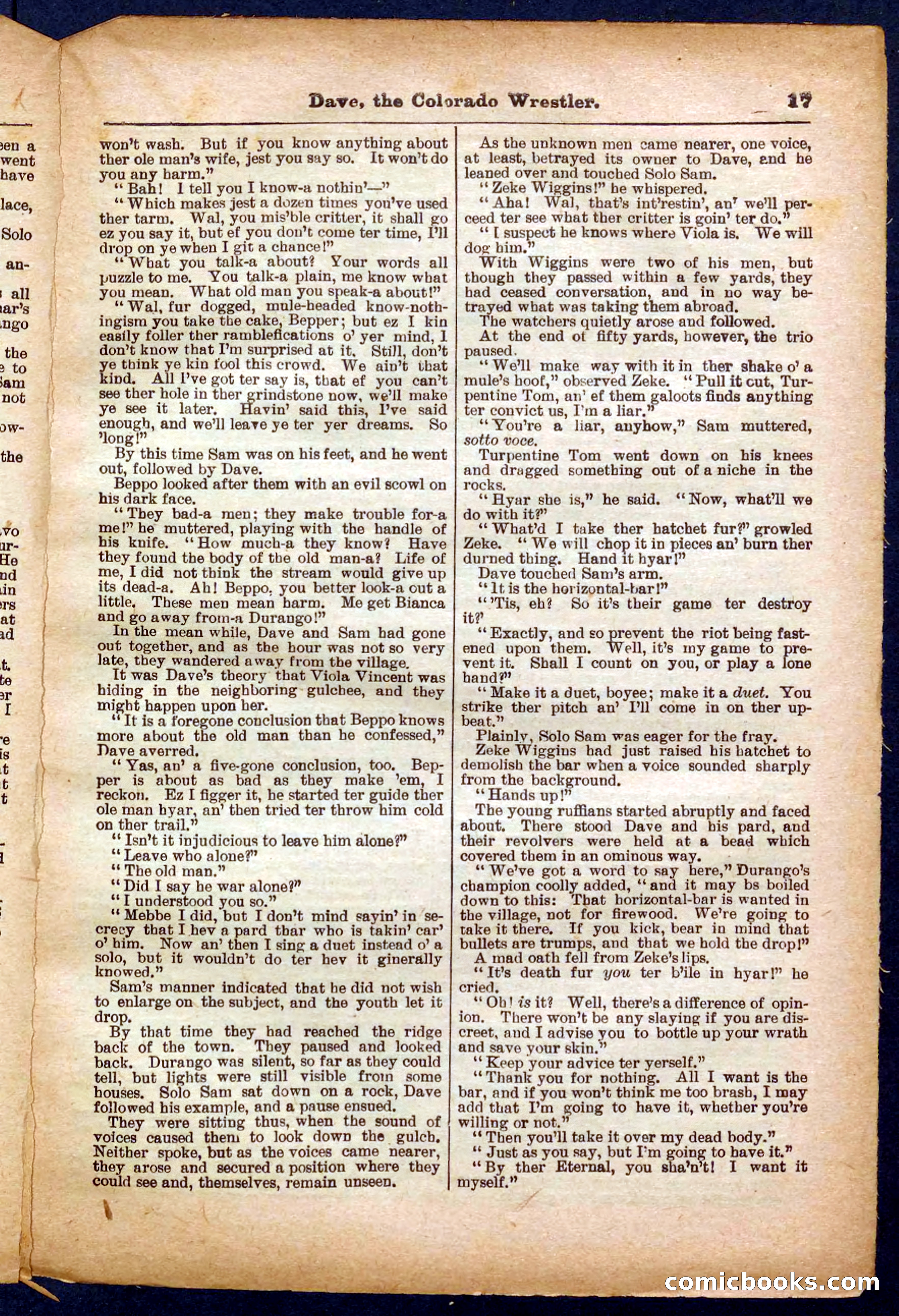 Beadle's Pocket Library No. 329: Dave the Colorado Wrestler — page 17 of 32