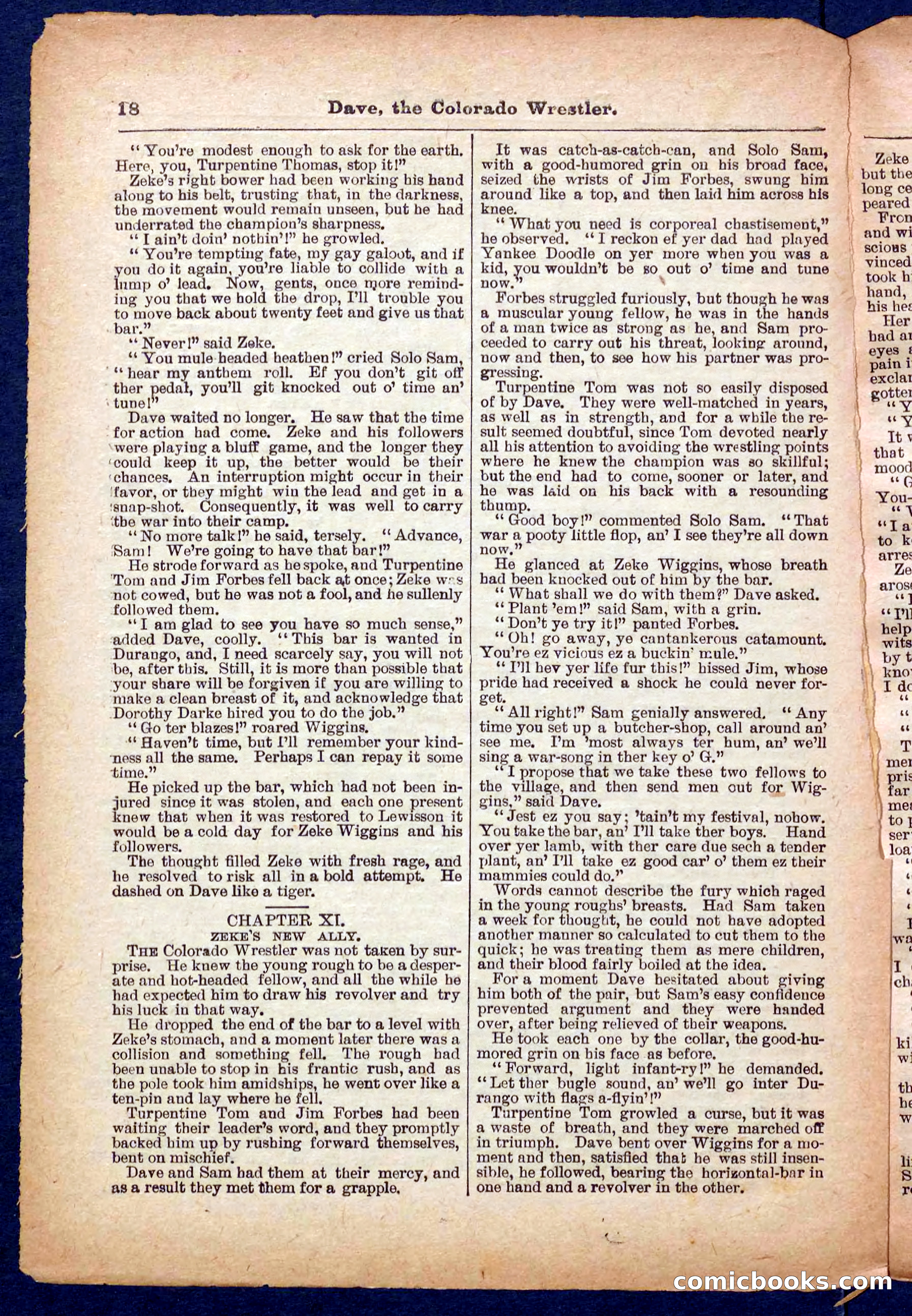 Beadle's Pocket Library No. 329: Dave the Colorado Wrestler — page 18 of 32