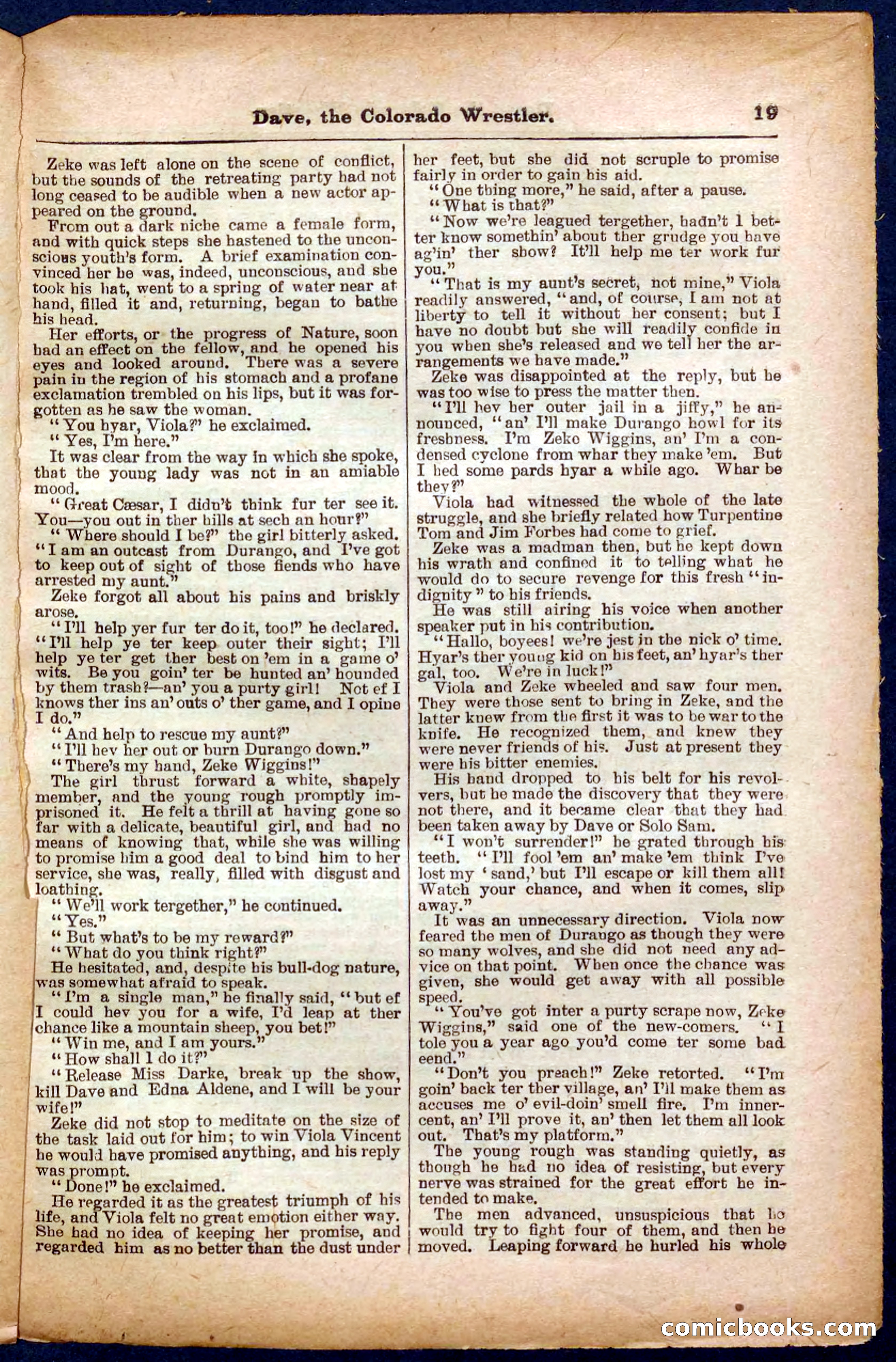 Beadle's Pocket Library No. 329: Dave the Colorado Wrestler — page 19 of 32