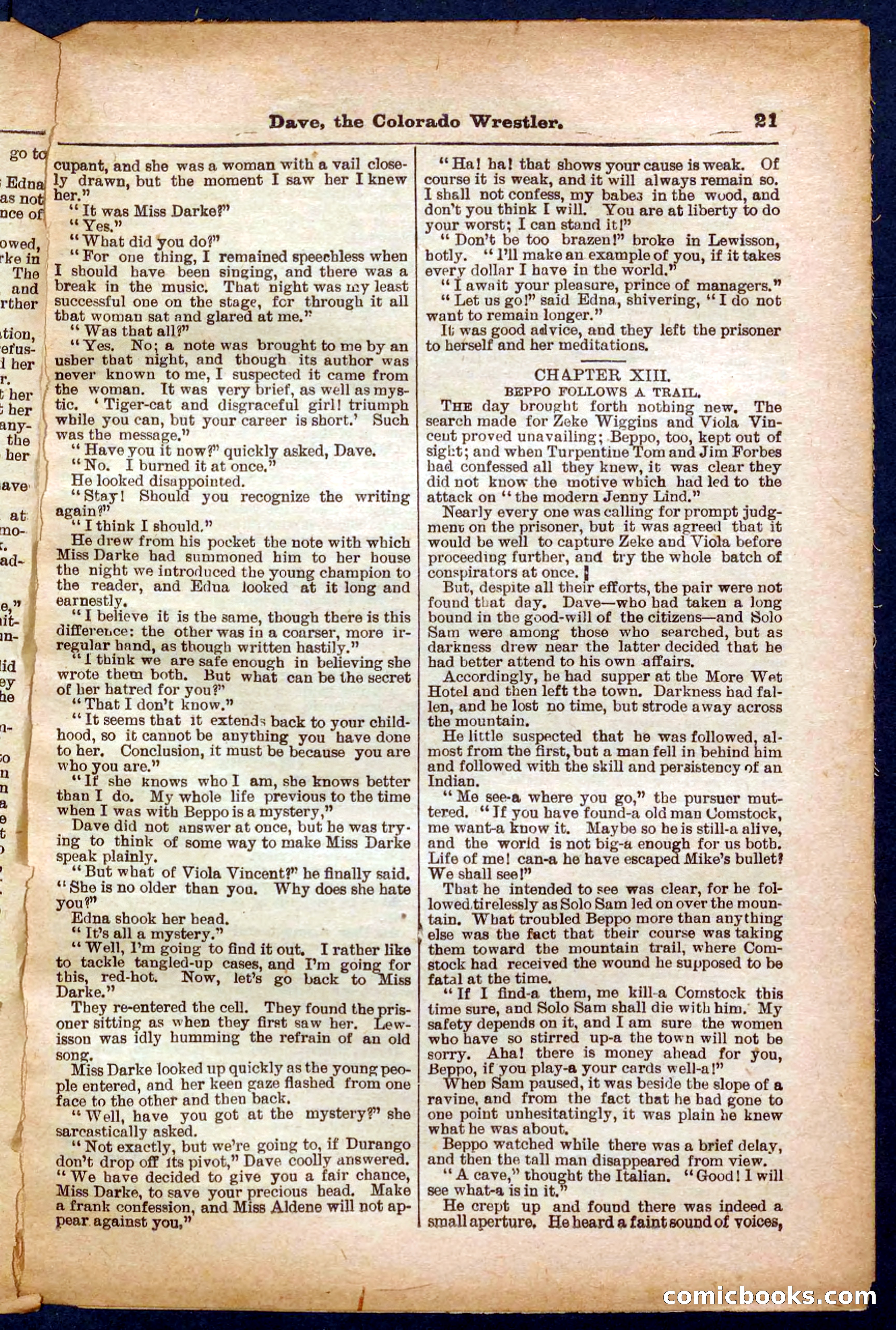 Beadle's Pocket Library No. 329: Dave the Colorado Wrestler — page 21 of 32