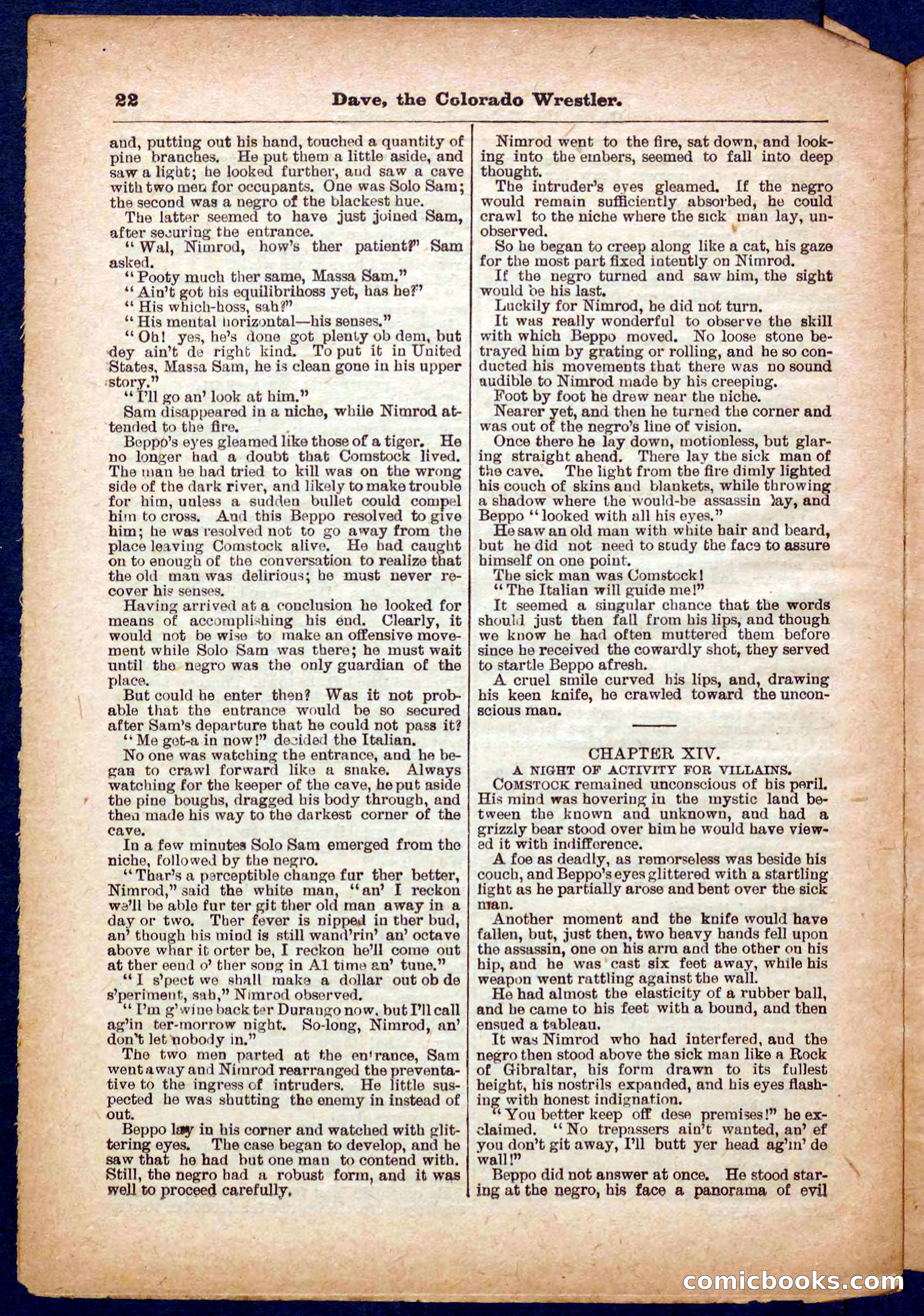 Beadle's Pocket Library No. 329: Dave the Colorado Wrestler — page 22 of 32