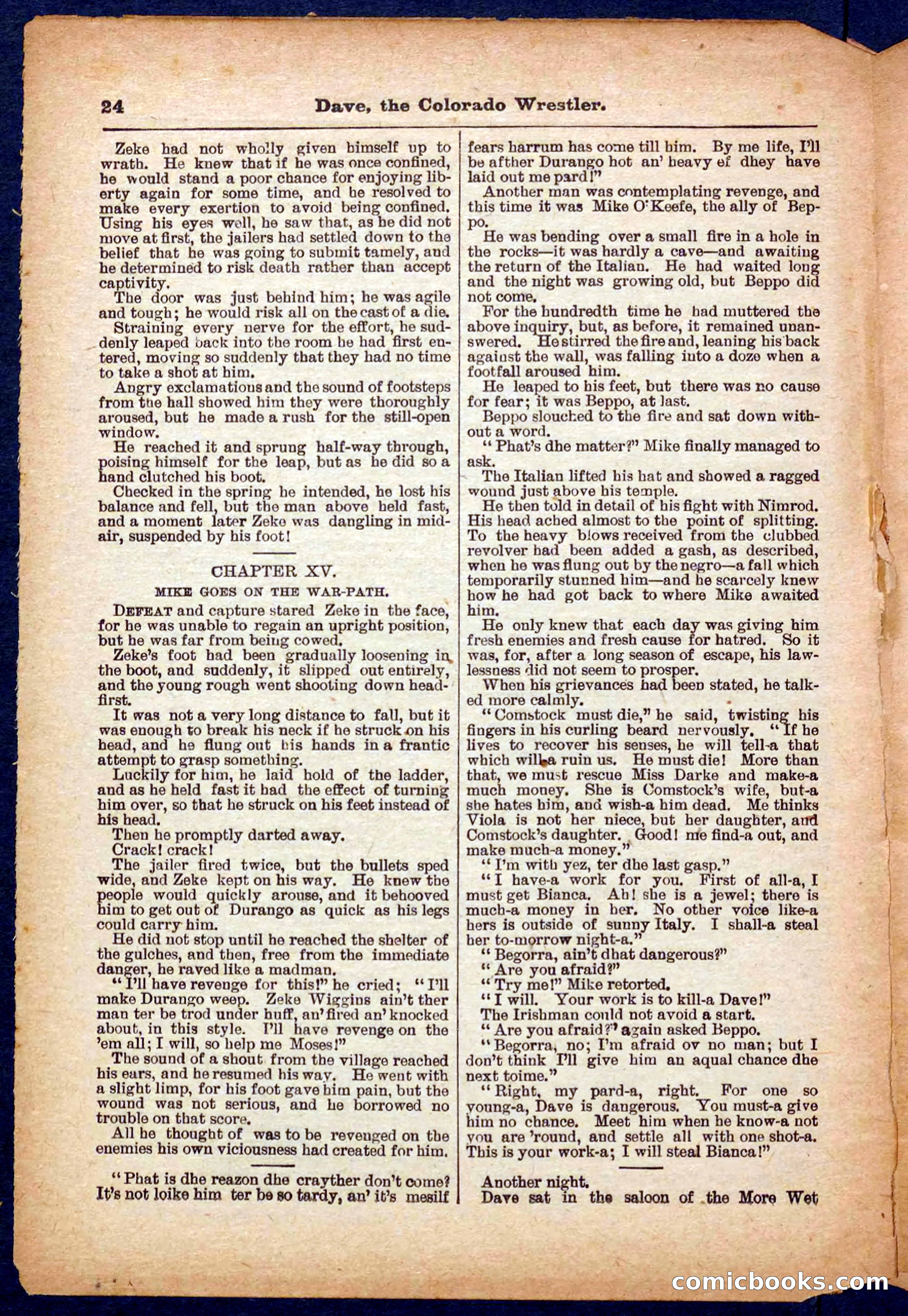 Beadle's Pocket Library No. 329: Dave the Colorado Wrestler — page 24 of 32